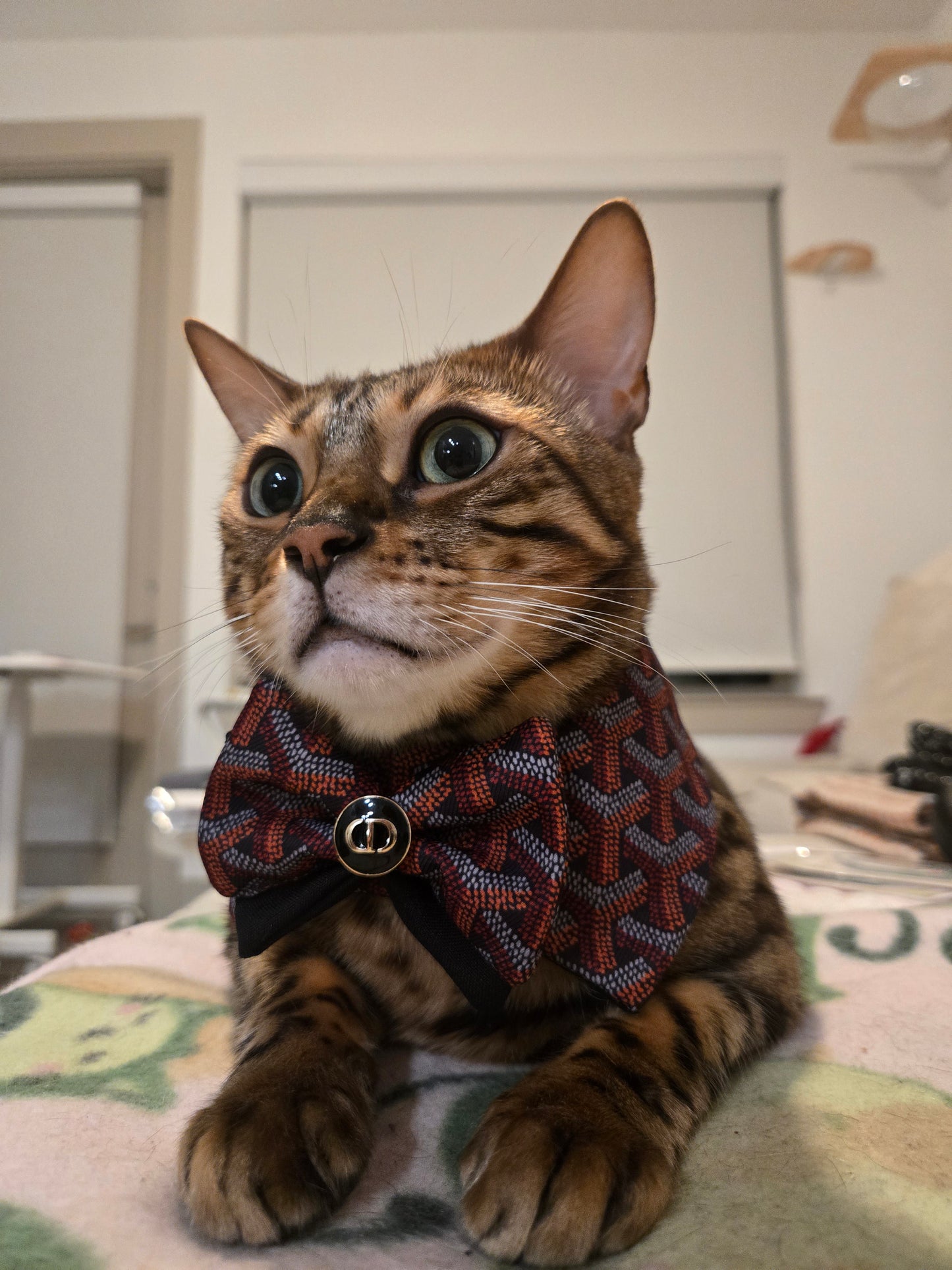 Grrryard Black tie Pet Bandana