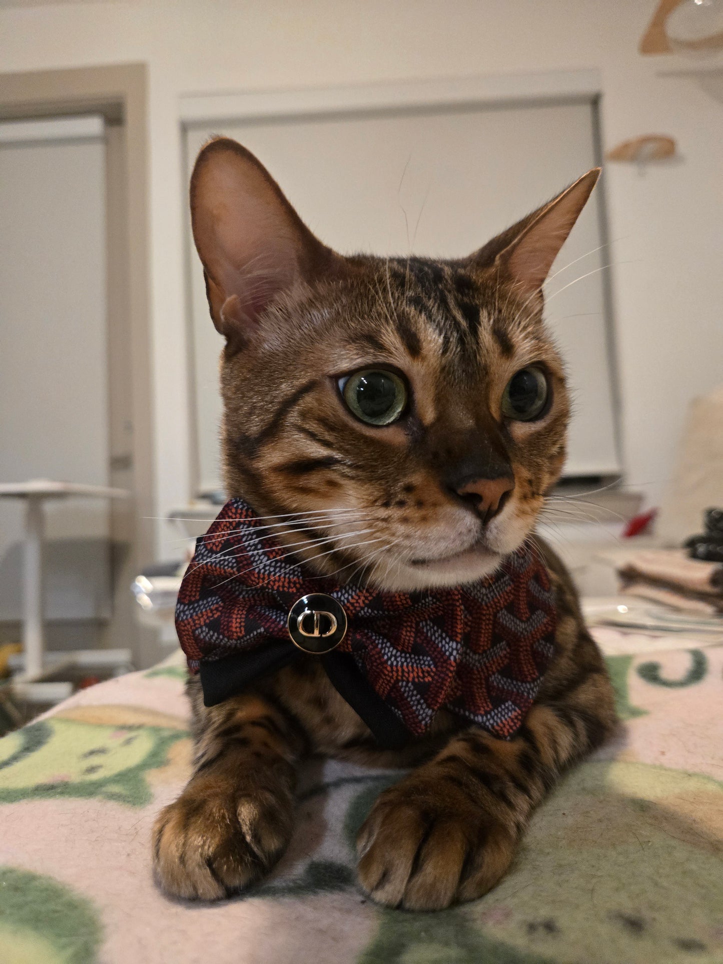 Grrryard Black tie Pet Bandana