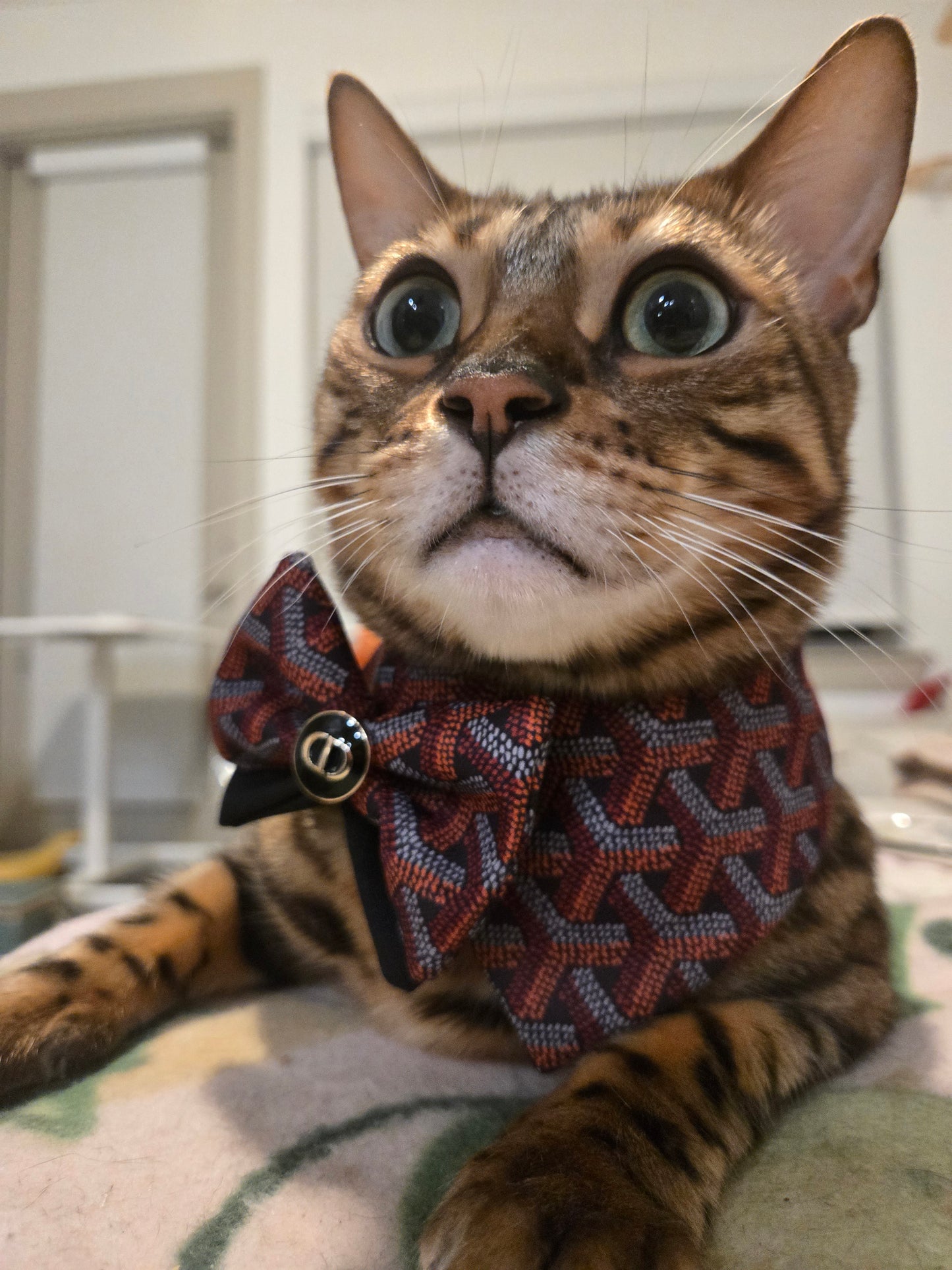 Grrryard Black tie Pet Bandana