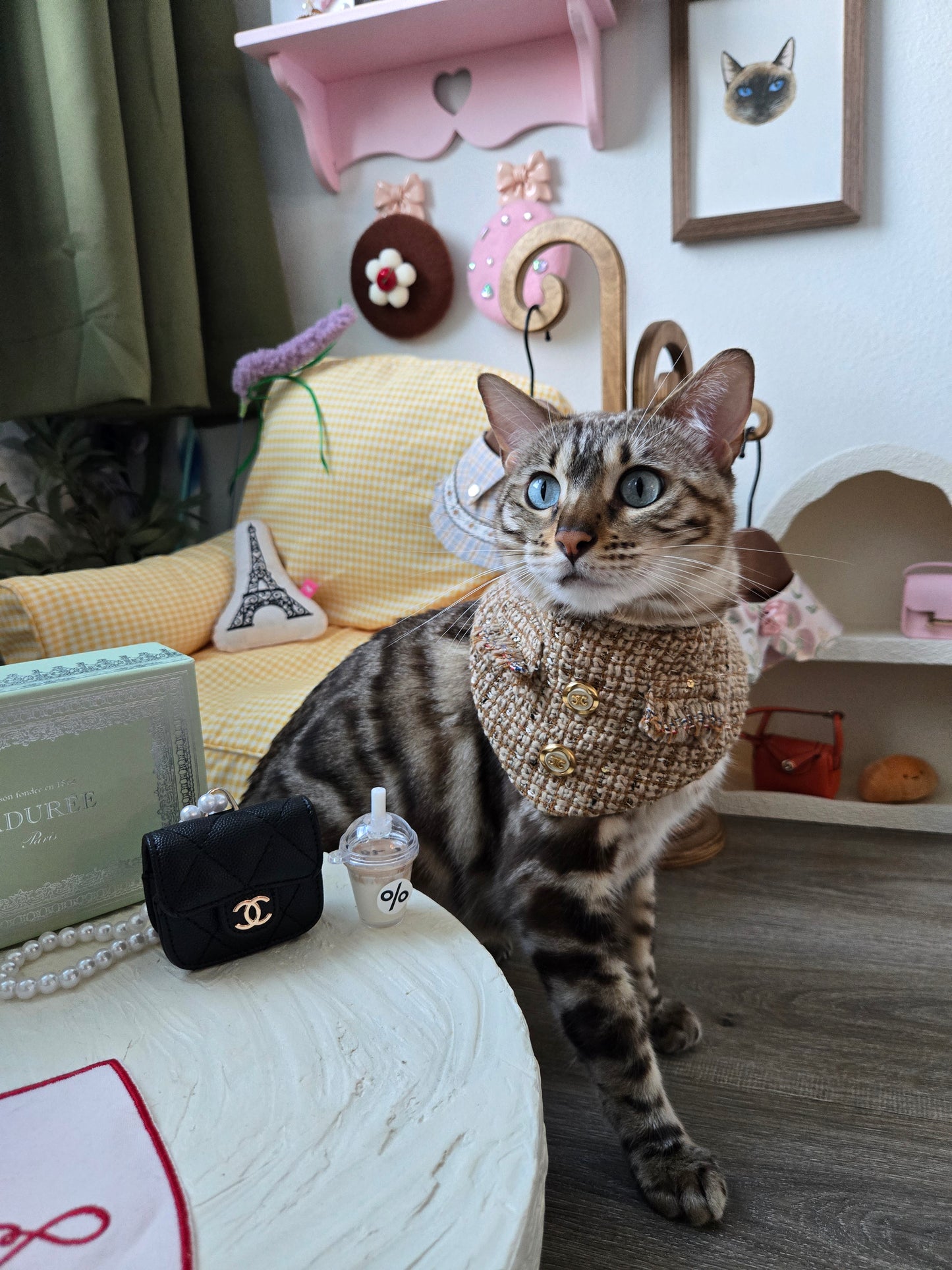 Les Élites Pet Bandana (reversible 4-way wear)