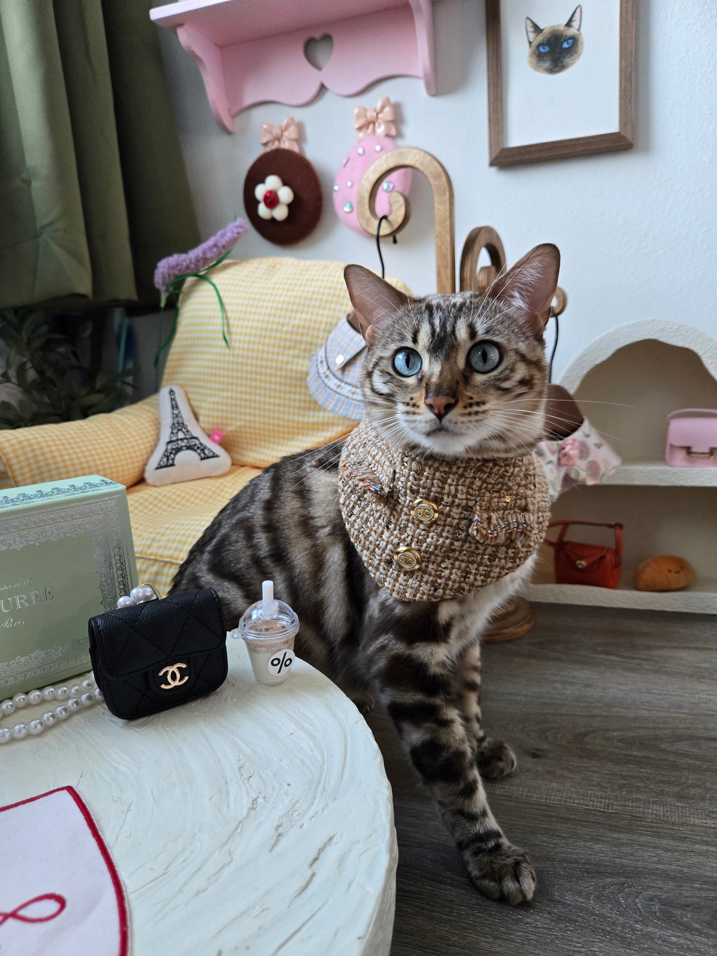 Les Élites Pet Bandana (reversible 4-way wear)