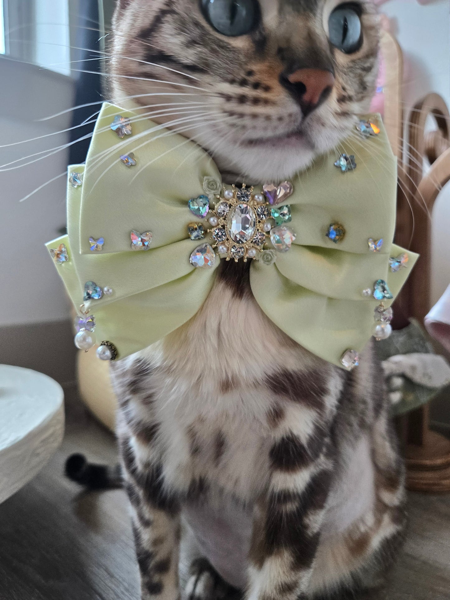 La Perle Satin Bow (En Couture collection)