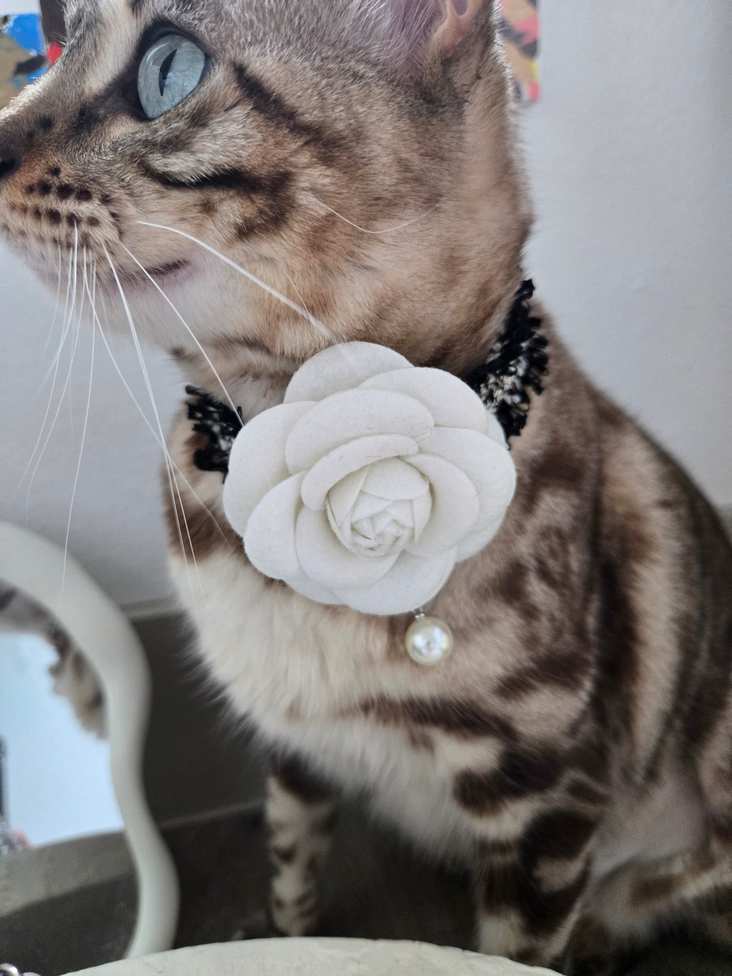 La Camélia Pet Necklace