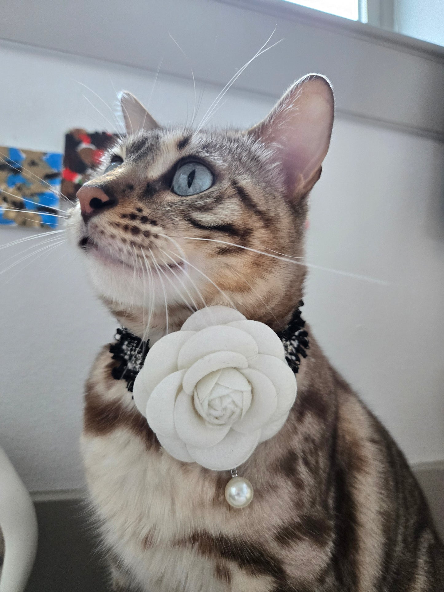 La Camélia Pet Necklace
