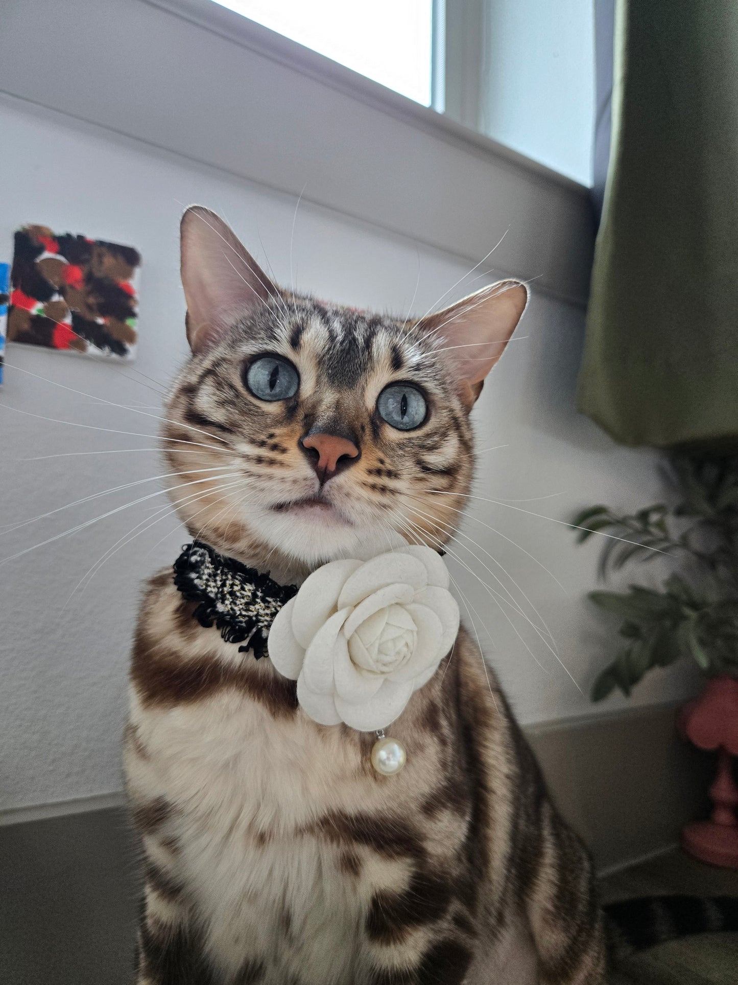 La Camélia Pet Necklace