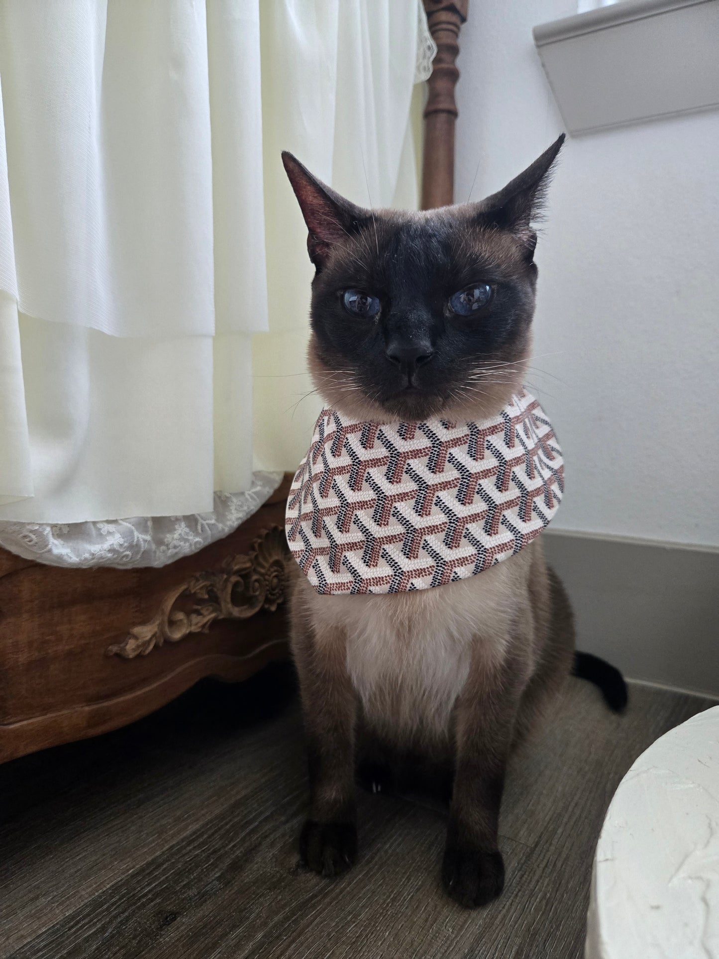 Grrryard Orange Pet Bandana (reversible 4-way wear)