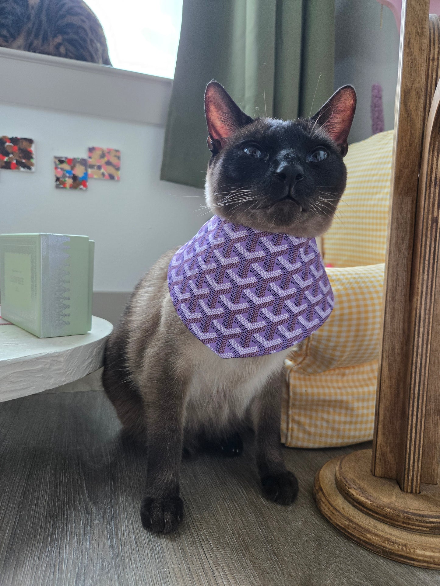 Grrryard Purple Pet Bandana (reversible 4-way wear)