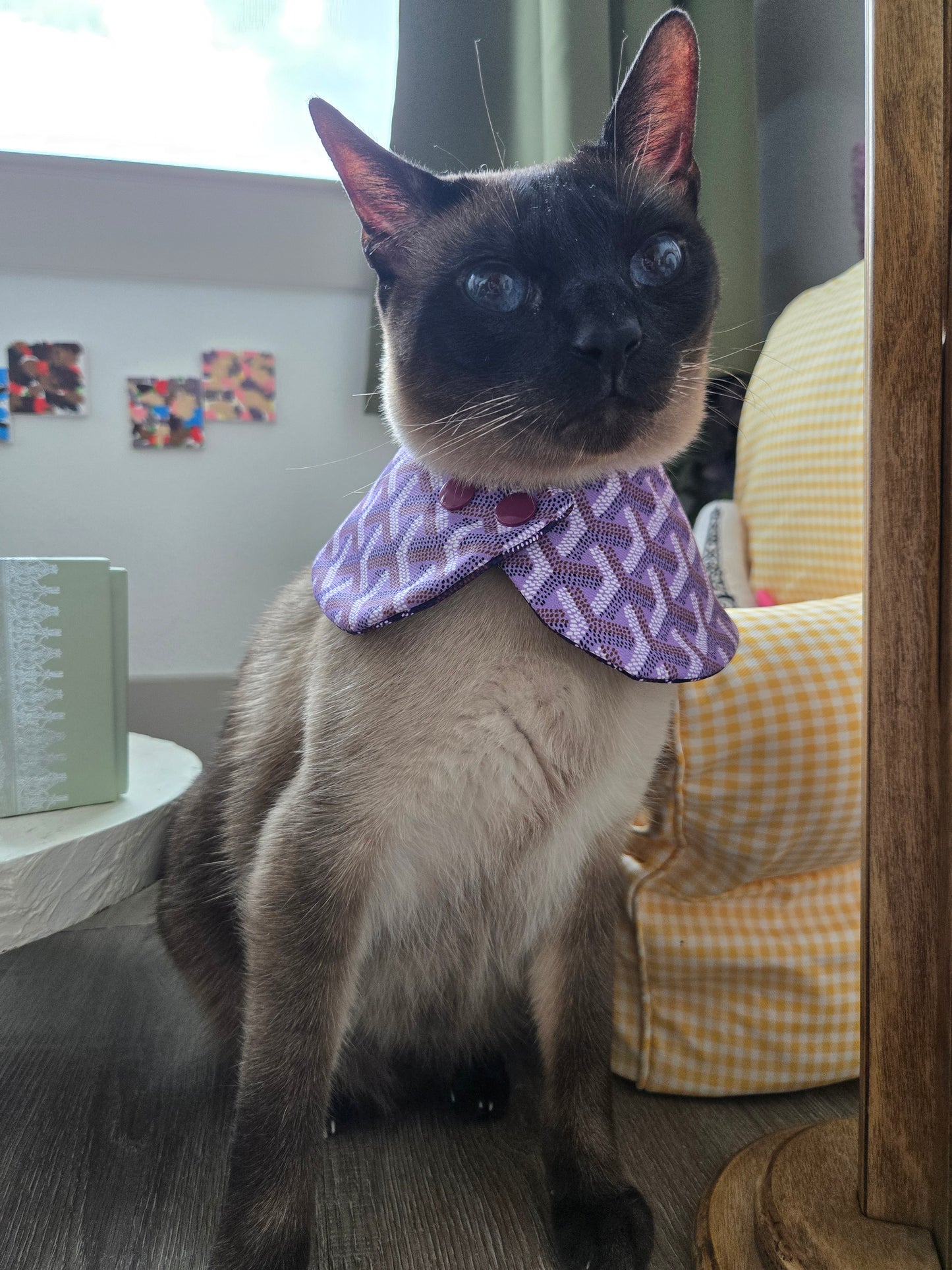 Grrryard Purple Pet Bandana (reversible 4-way wear)