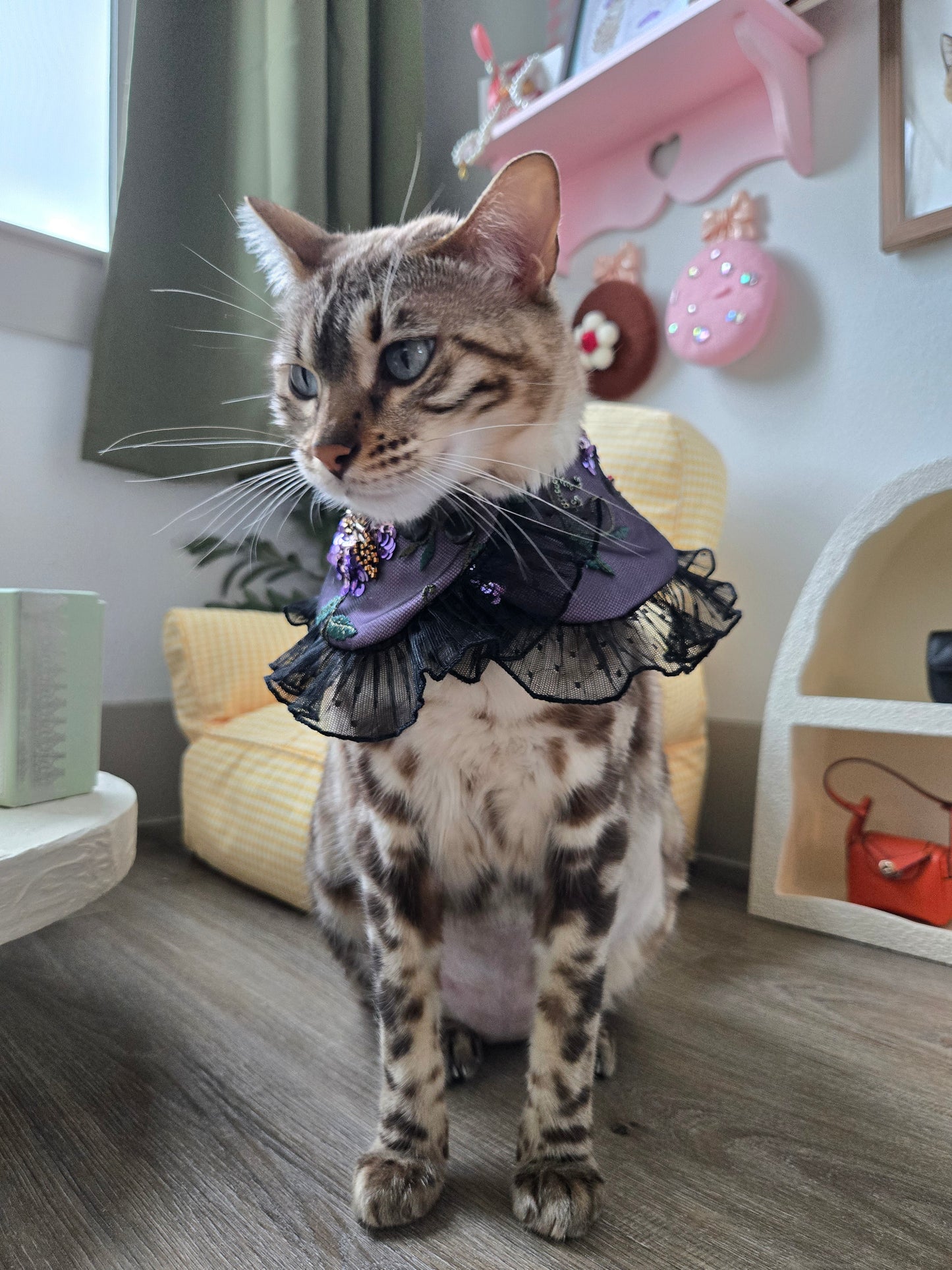 La Dahlia Noire Pet Bandana (En Couture collection)