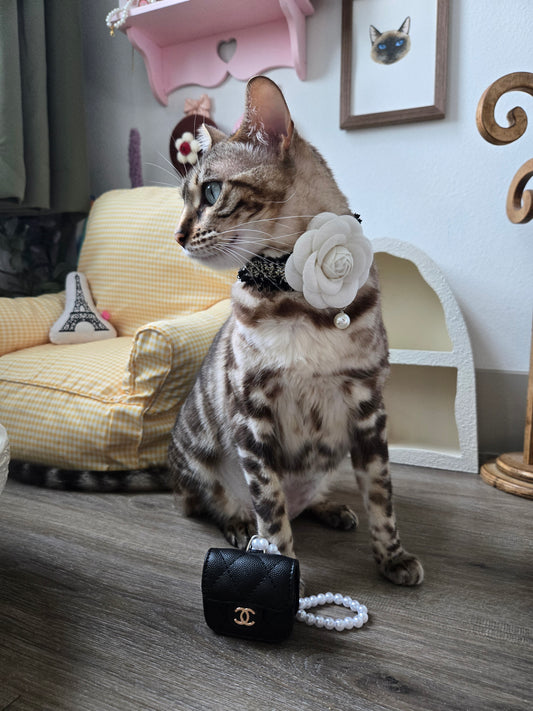 La Camélia Pet Necklace