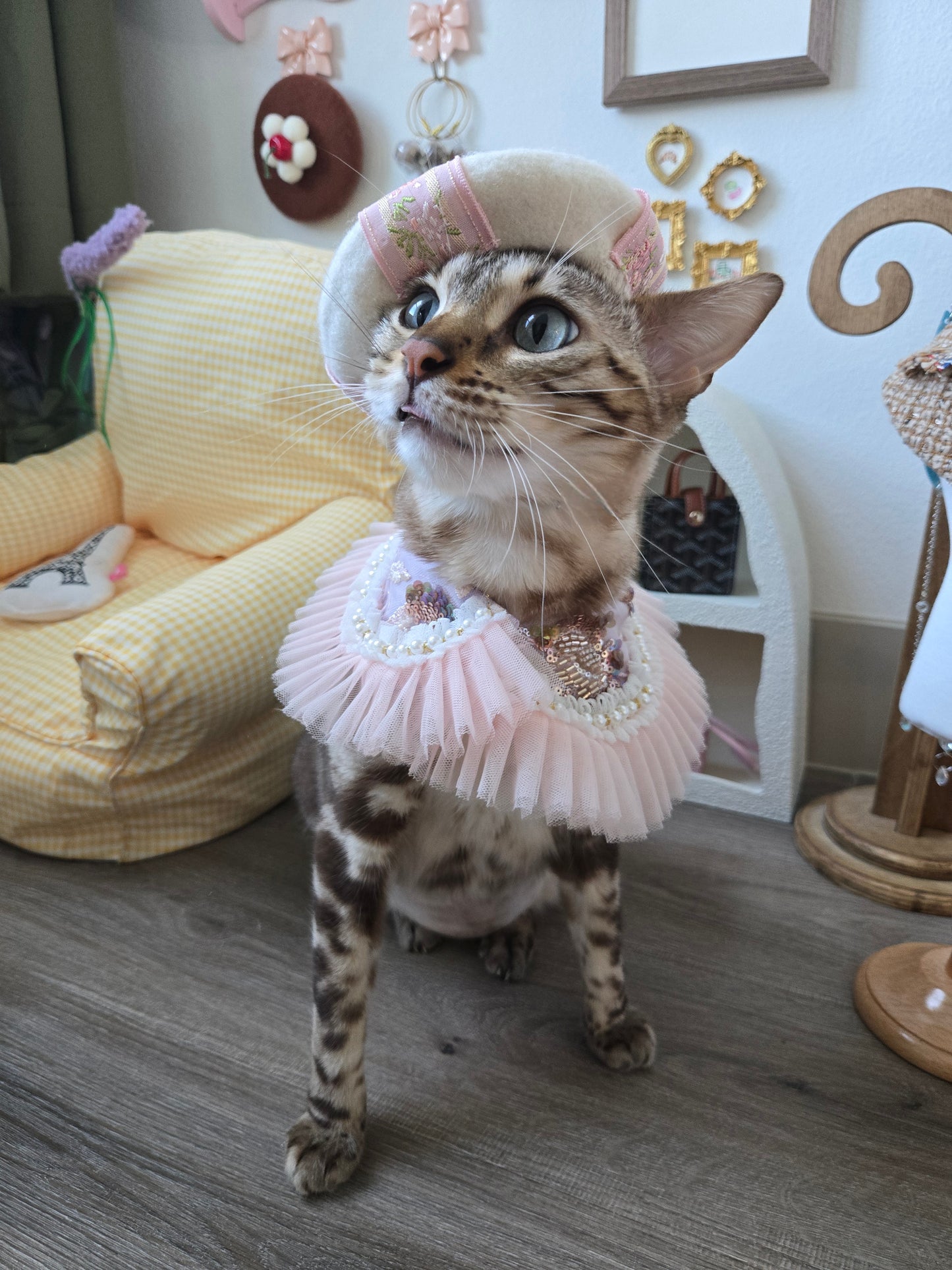 Rosette Pet Beret