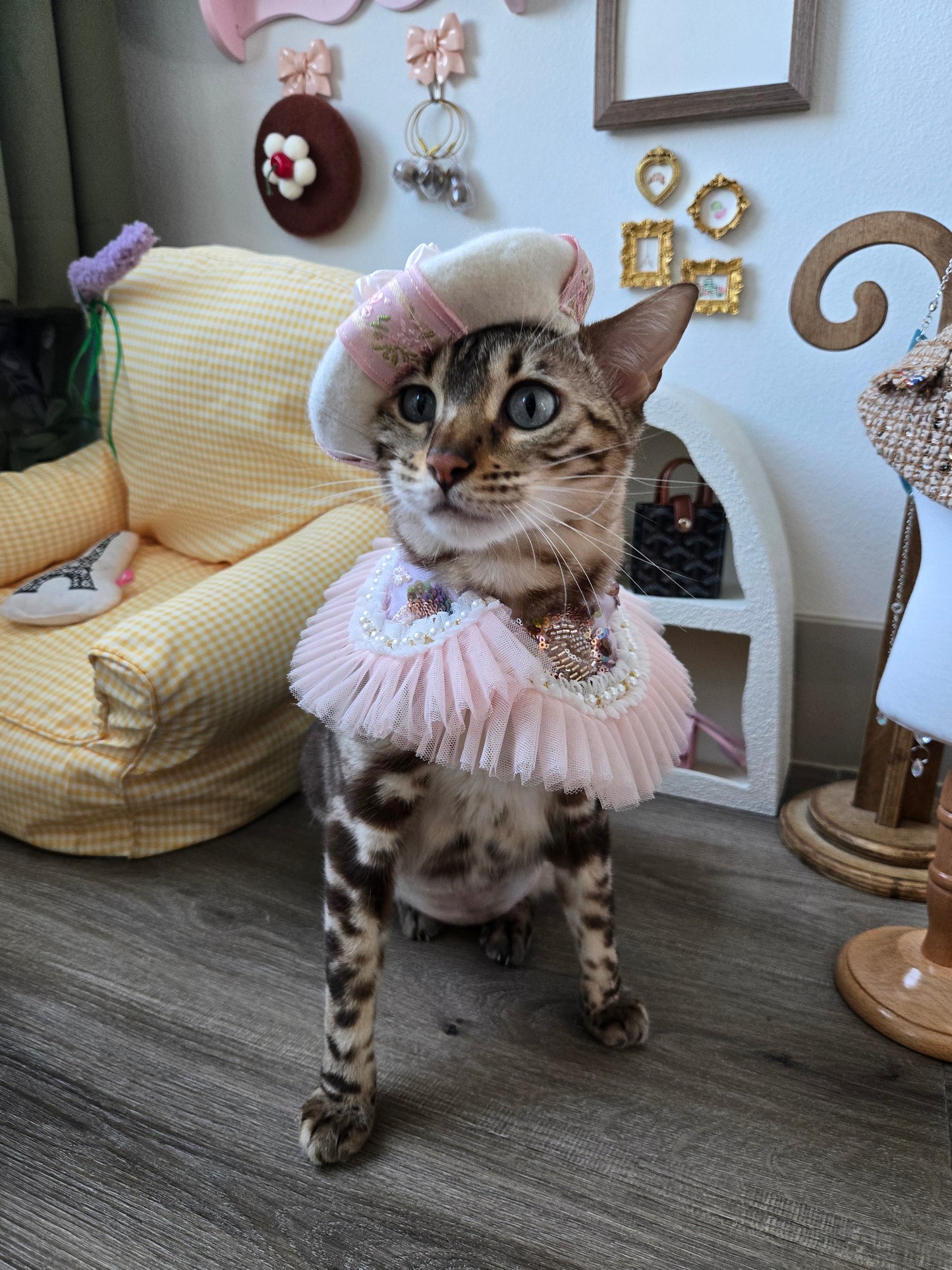 Rosette Pet Beret