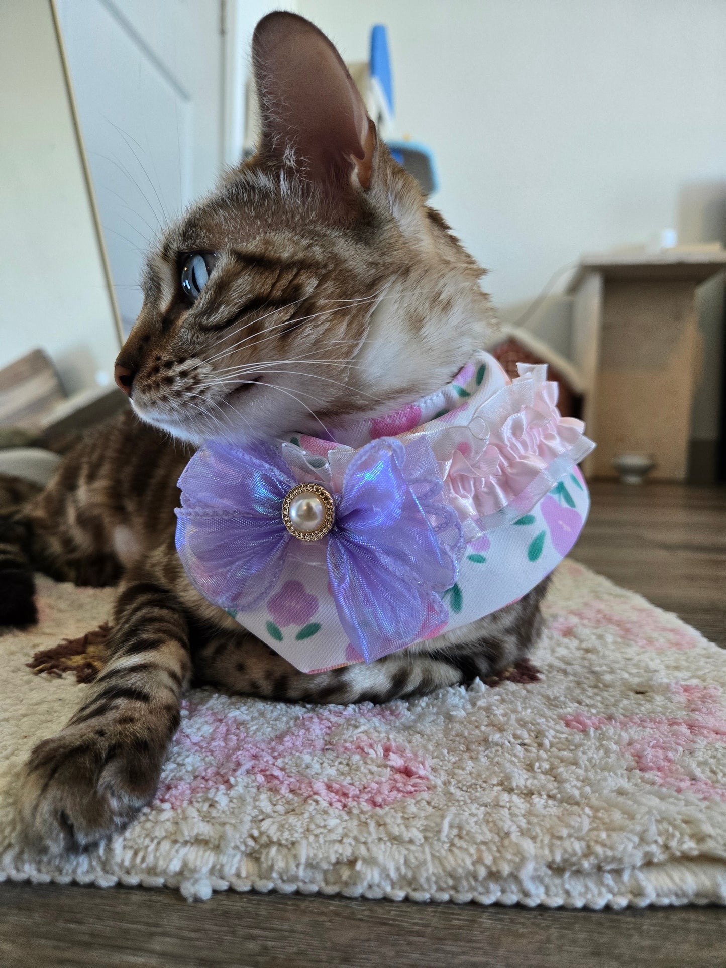 Strawbeary Princess Pet Bandana (reversible 4-way wear)