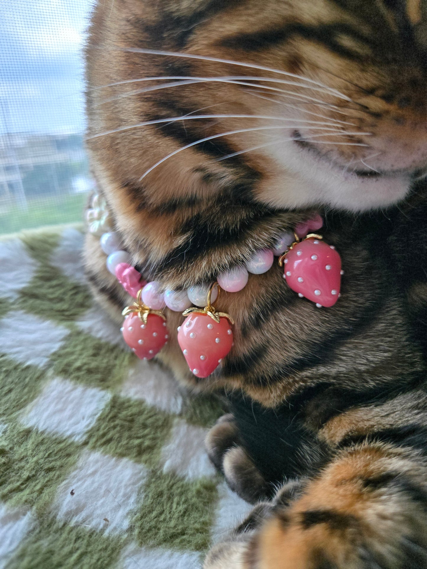 Strawbeary Picking Day Pet Necklace