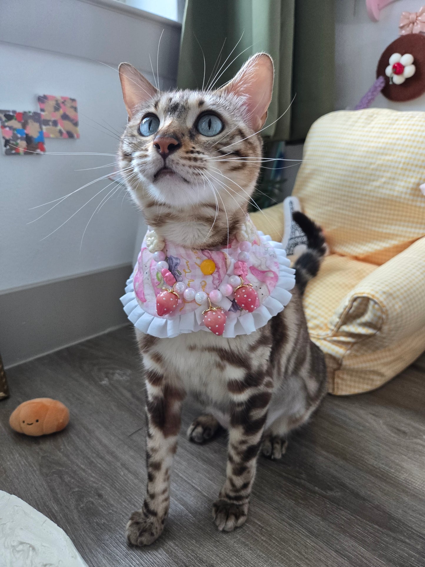 Tulip Garden Pet Bandana (reversible 4-way wear)