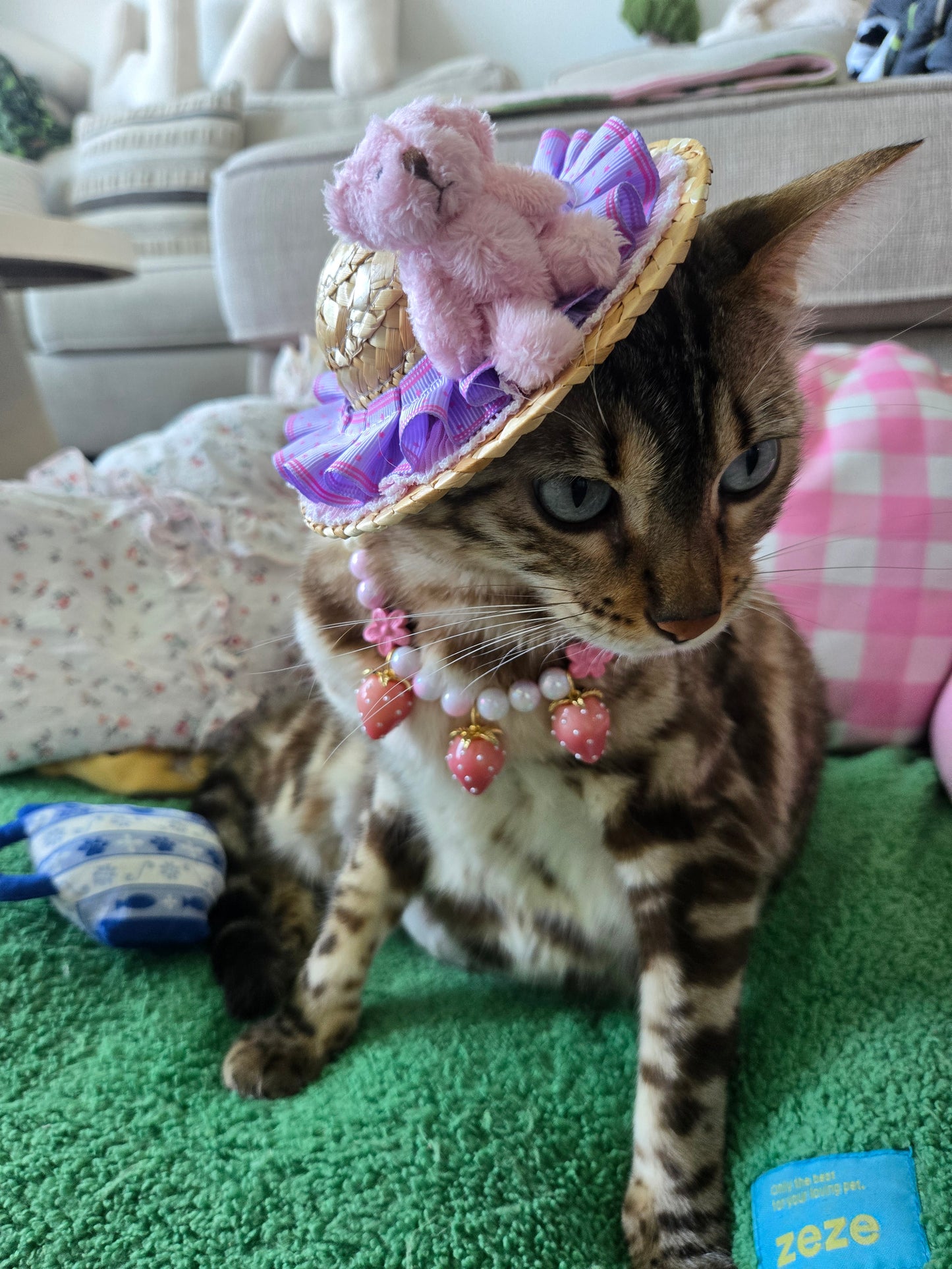 Strawbeary Picnic Pet Hat