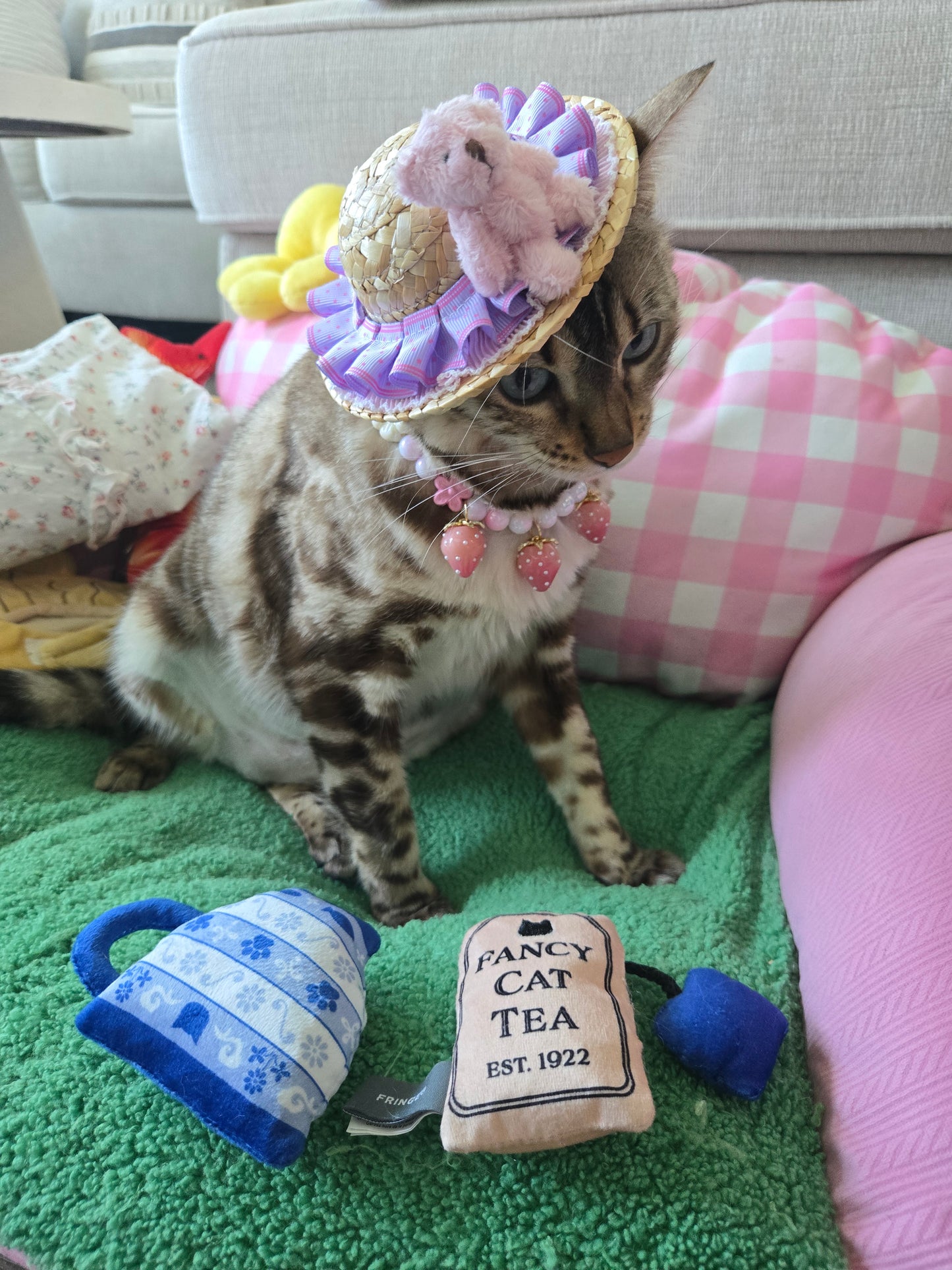 Strawbeary Picnic Pet Hat