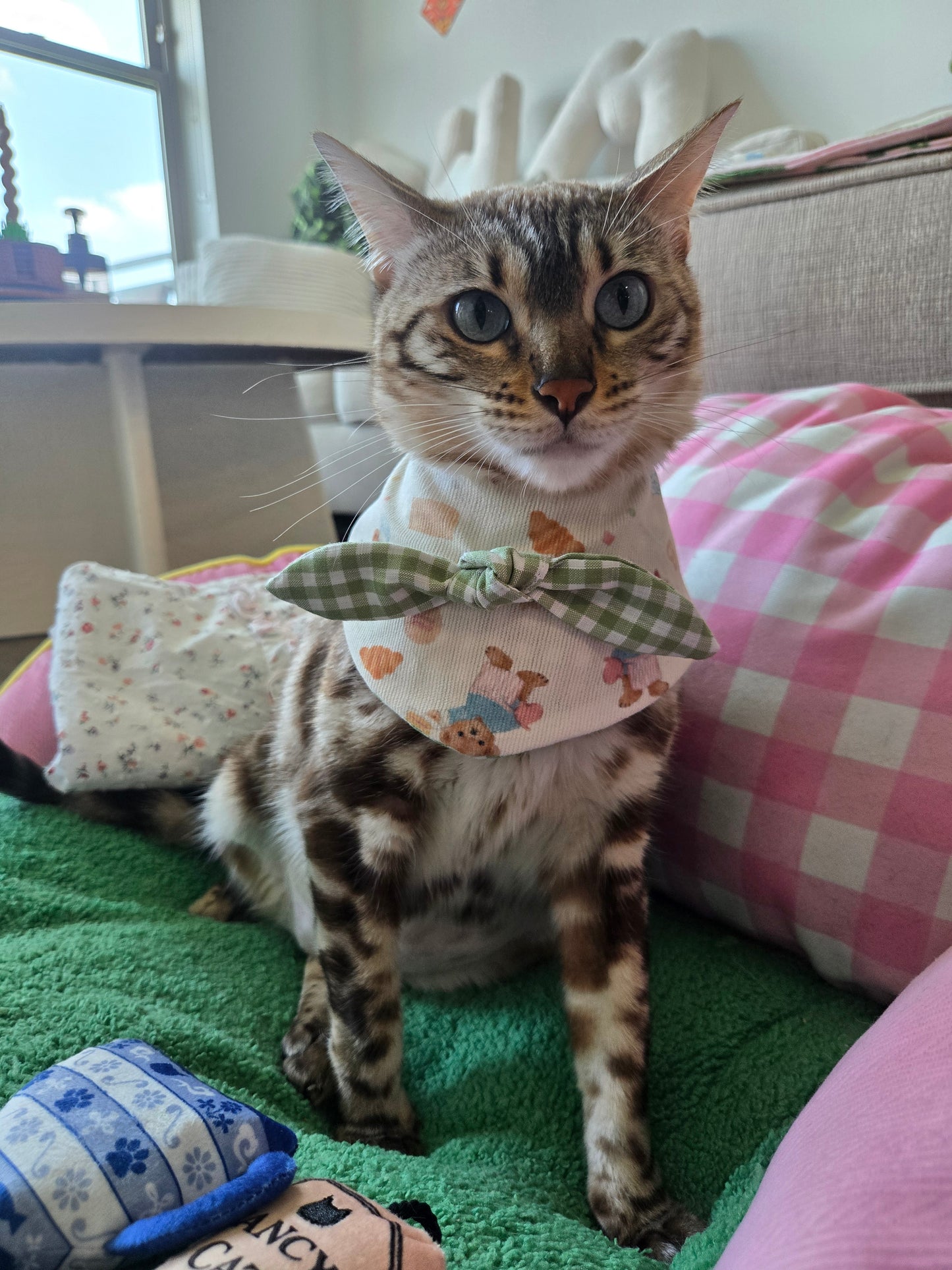 Teddy's picnic Pet Bandana (reversible 4-way wear)
