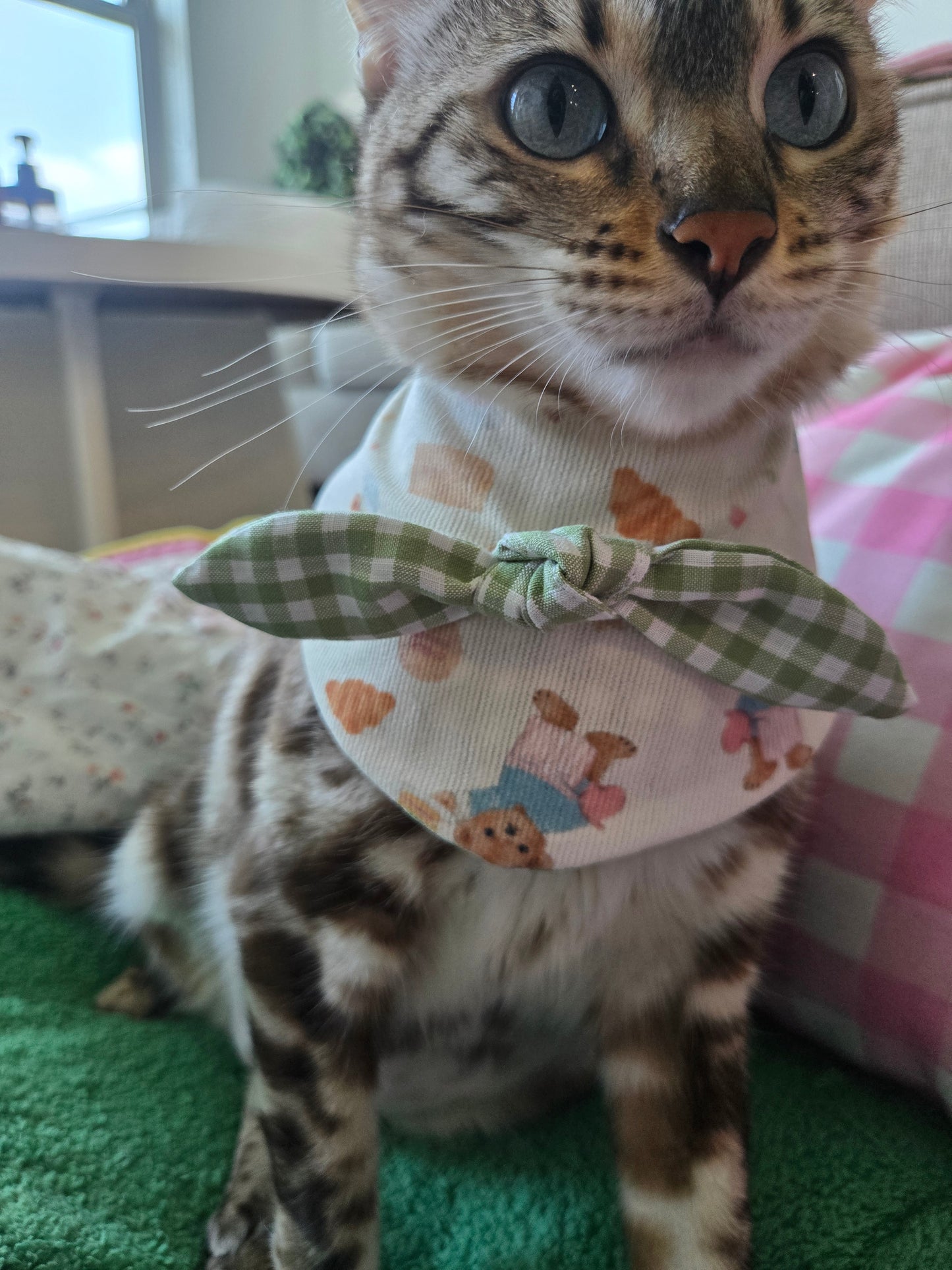 Teddy's picnic Pet Bandana (reversible 4-way wear)