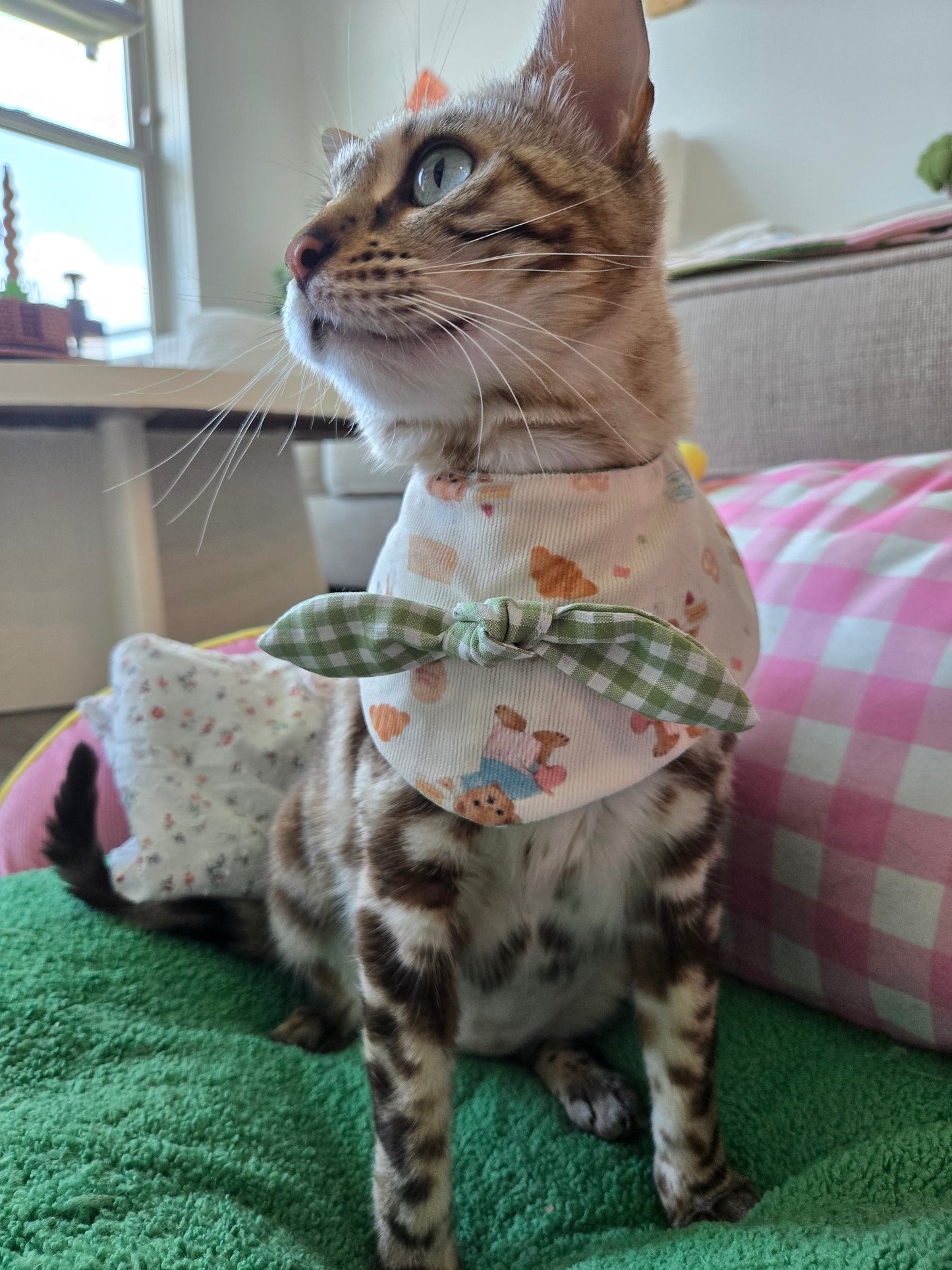 Teddy's picnic Pet Bandana (reversible 4-way wear)