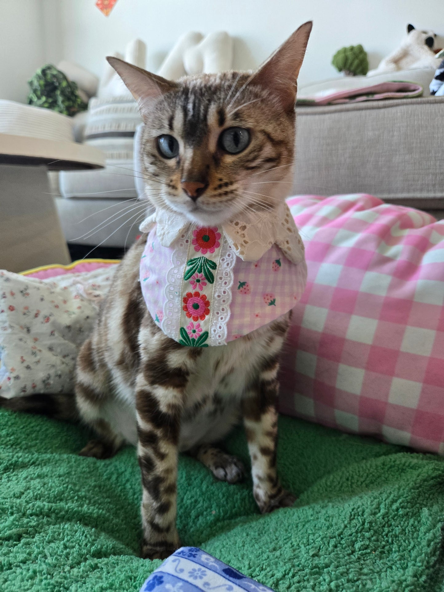 Sweet Beary Pet Bandana (reversible 4-way wear)