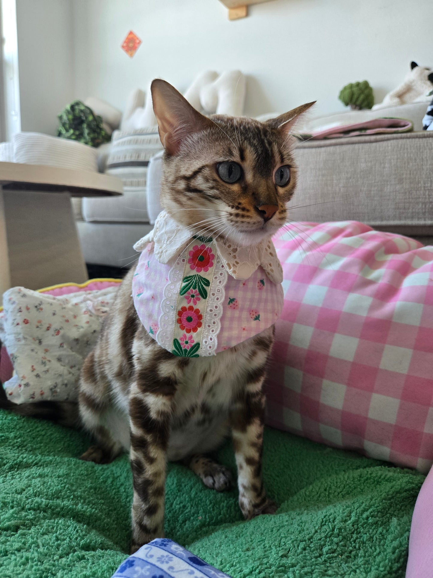 Sweet Beary Pet Bandana (reversible 4-way wear)