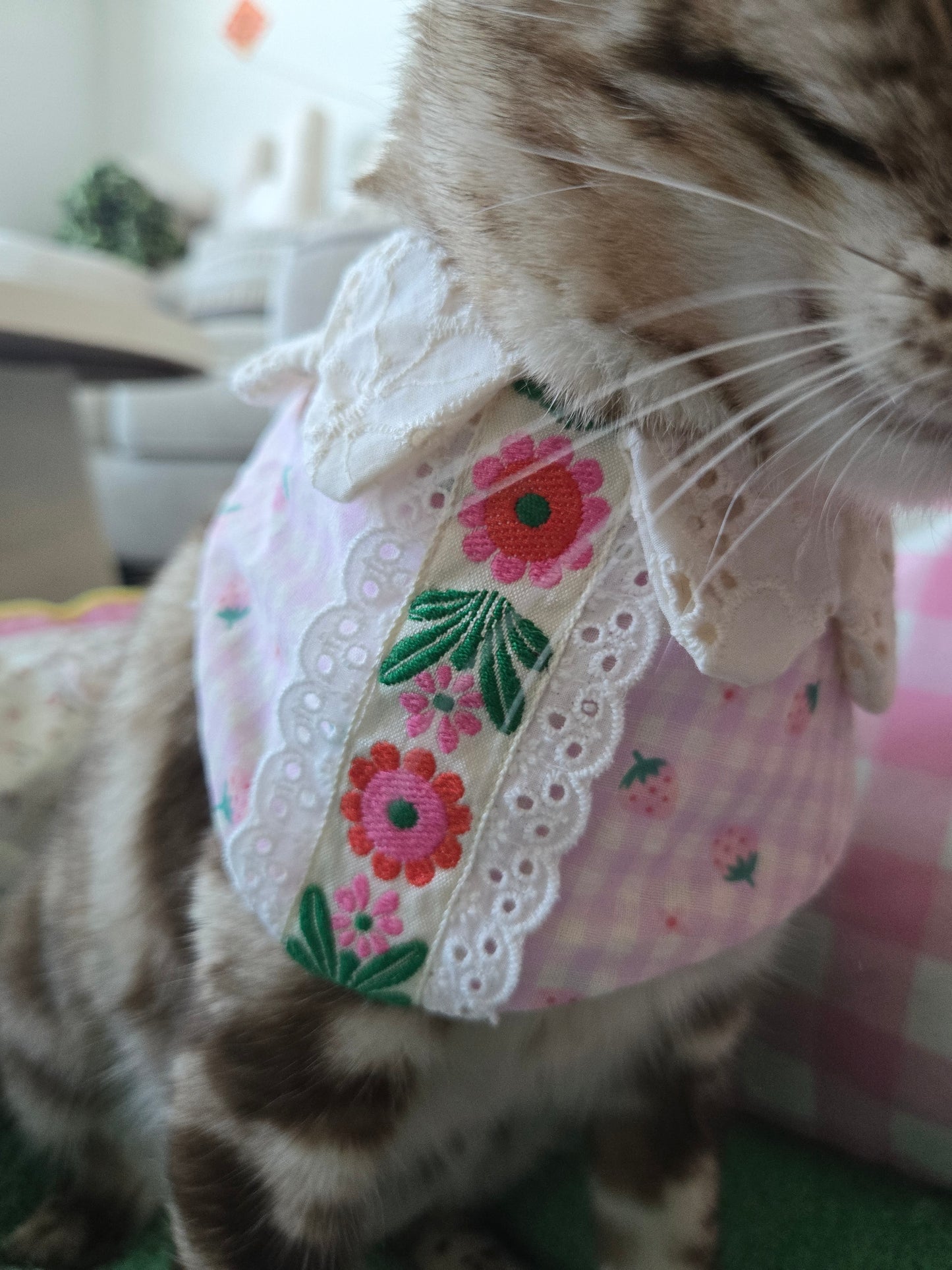 Sweet Beary Pet Bandana (reversible 4-way wear)