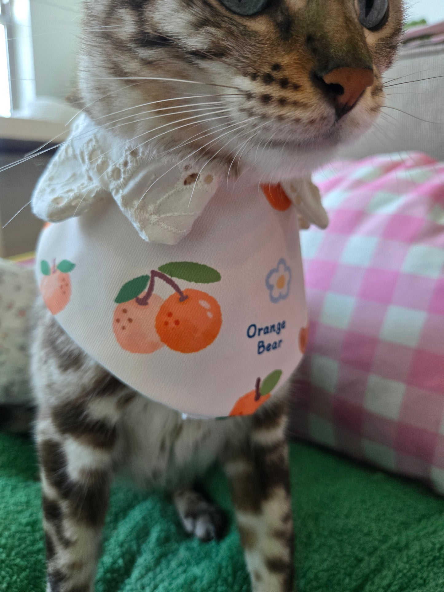 Sweet Beary Pet Bandana (reversible 4-way wear)