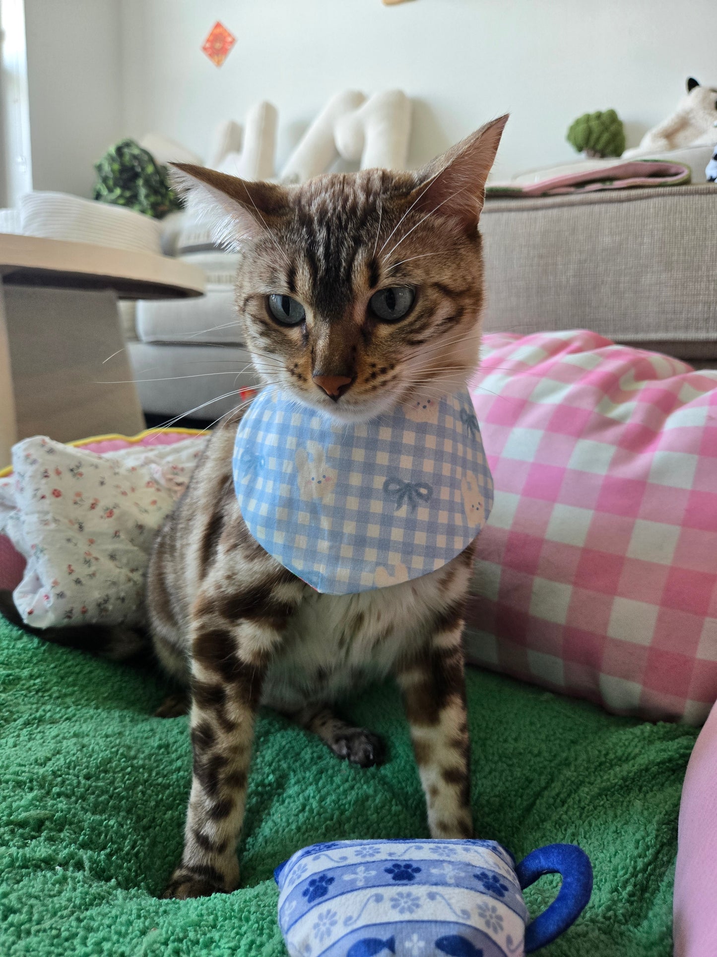 Teddy's meadow Pet Bandana (reversible 4-way wear)