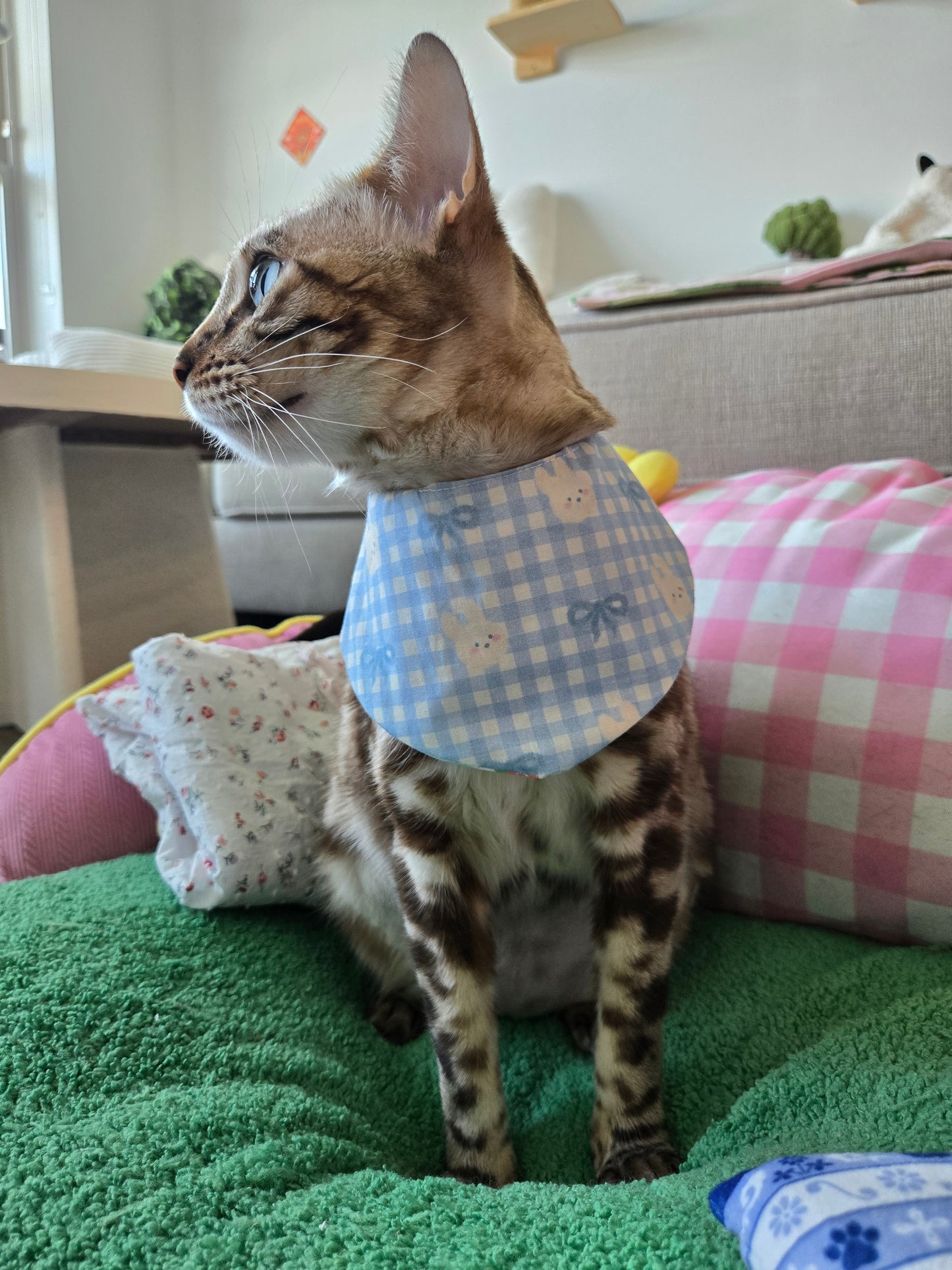 Teddy's meadow Pet Bandana (reversible 4-way wear)