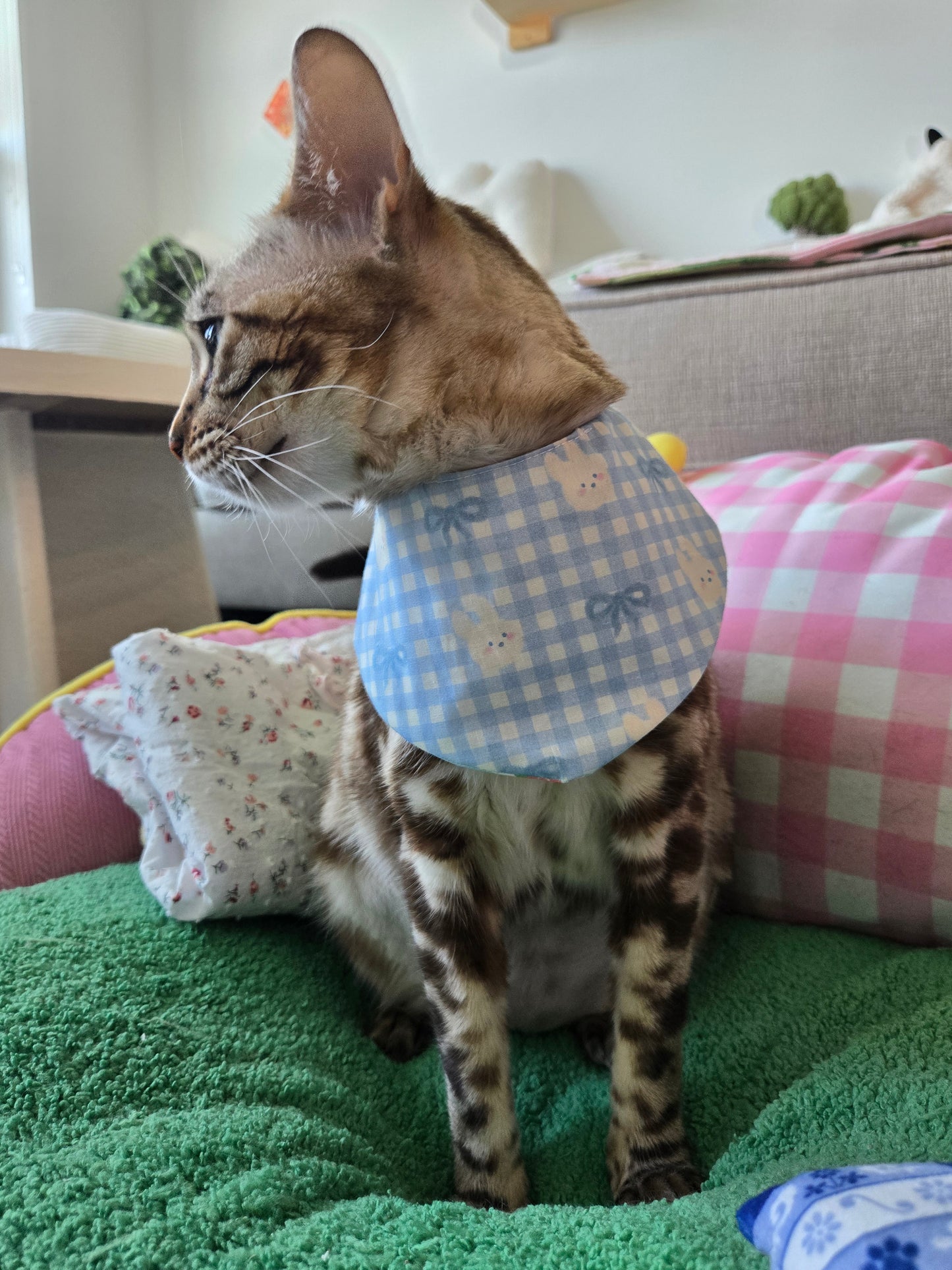 Teddy's meadow Pet Bandana (reversible 4-way wear)