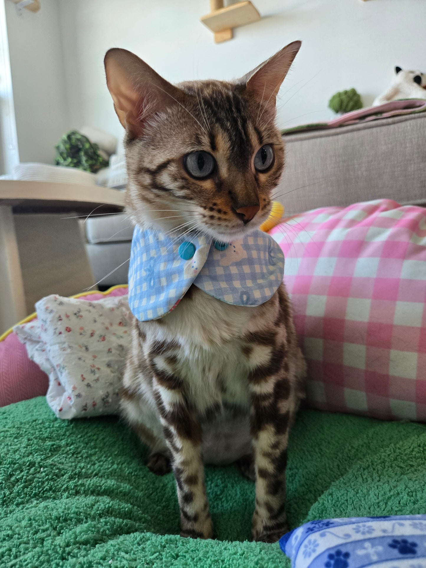 Teddy's meadow Pet Bandana (reversible 4-way wear)