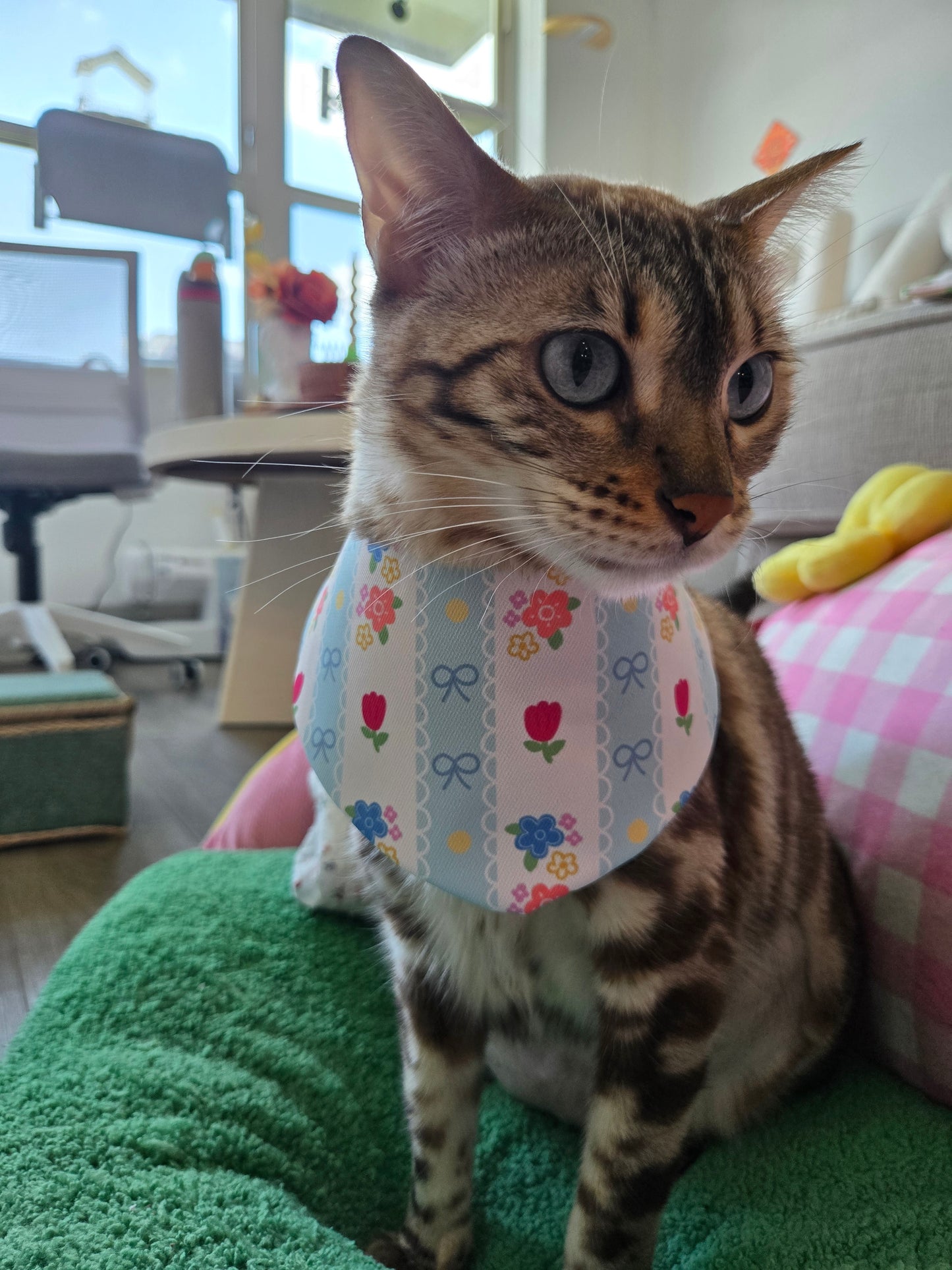 Teddy's meadow Pet Bandana (reversible 4-way wear)