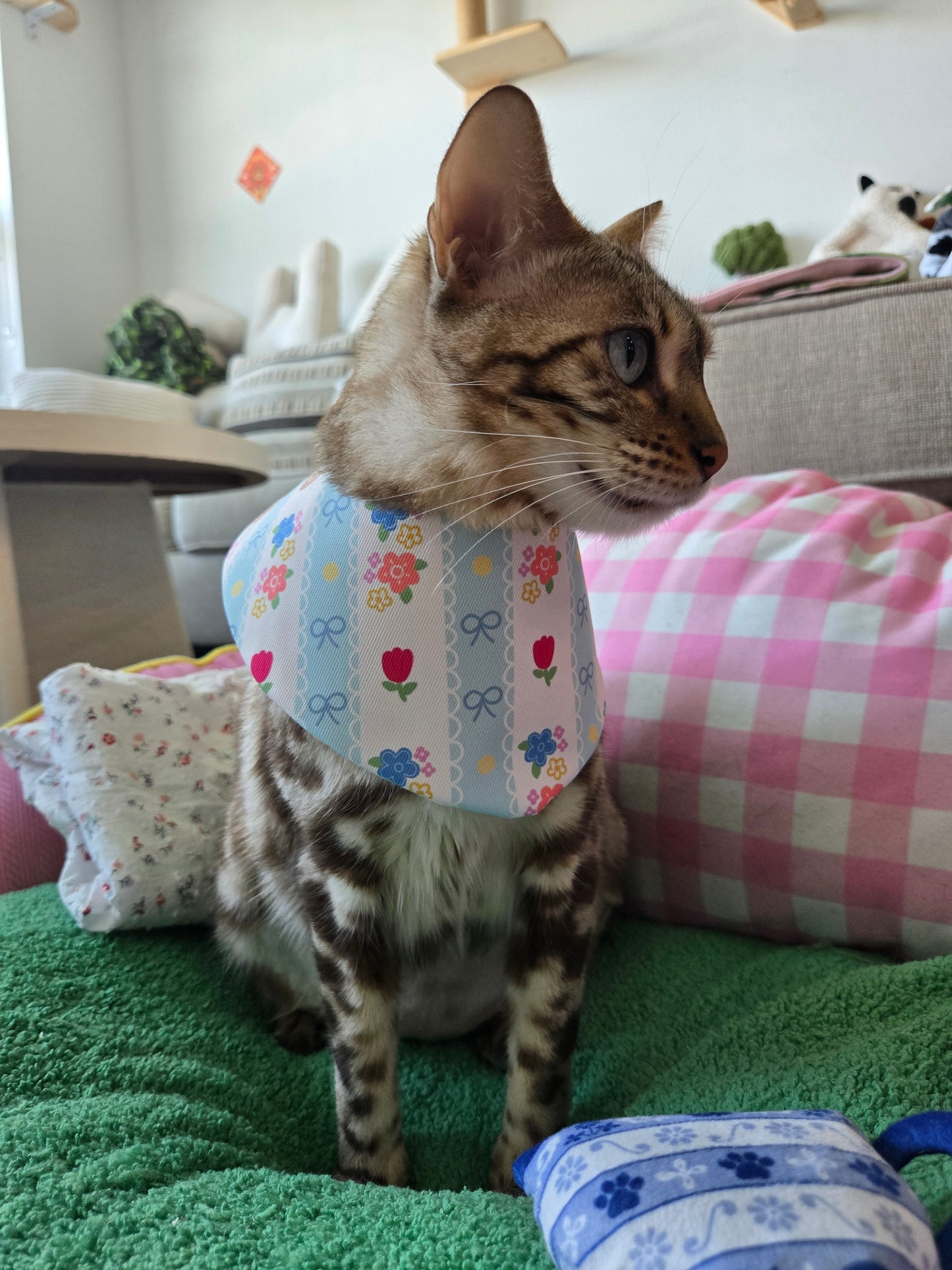 Teddy's meadow Pet Bandana (reversible 4-way wear)