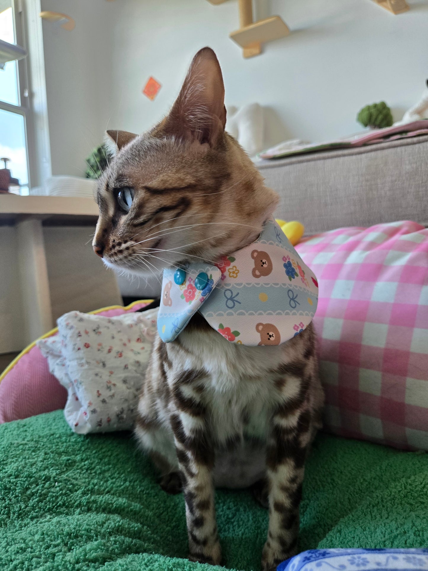 Teddy's meadow Pet Bandana (reversible 4-way wear)