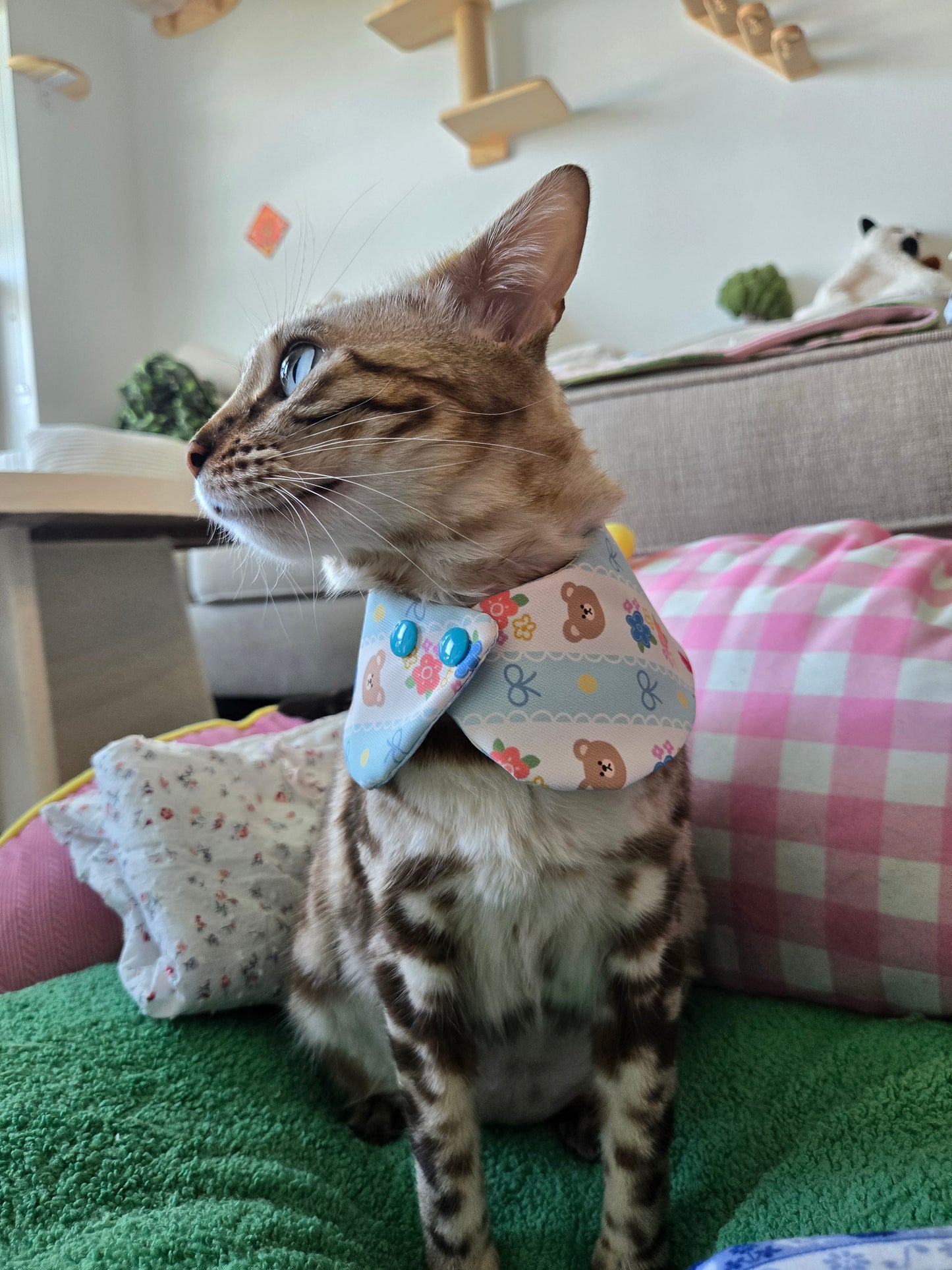 Teddy's meadow Pet Bandana (reversible 4-way wear)