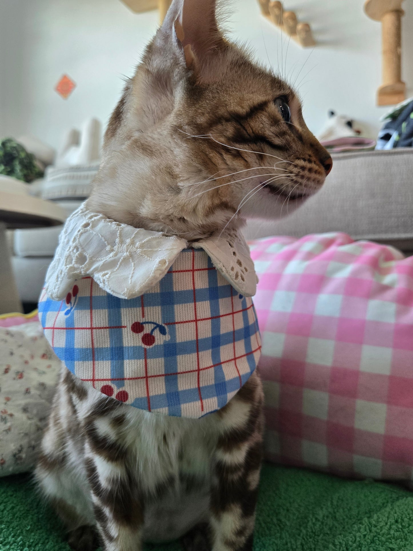 Petite bear Pet Bandana (reversible 4-way wear)