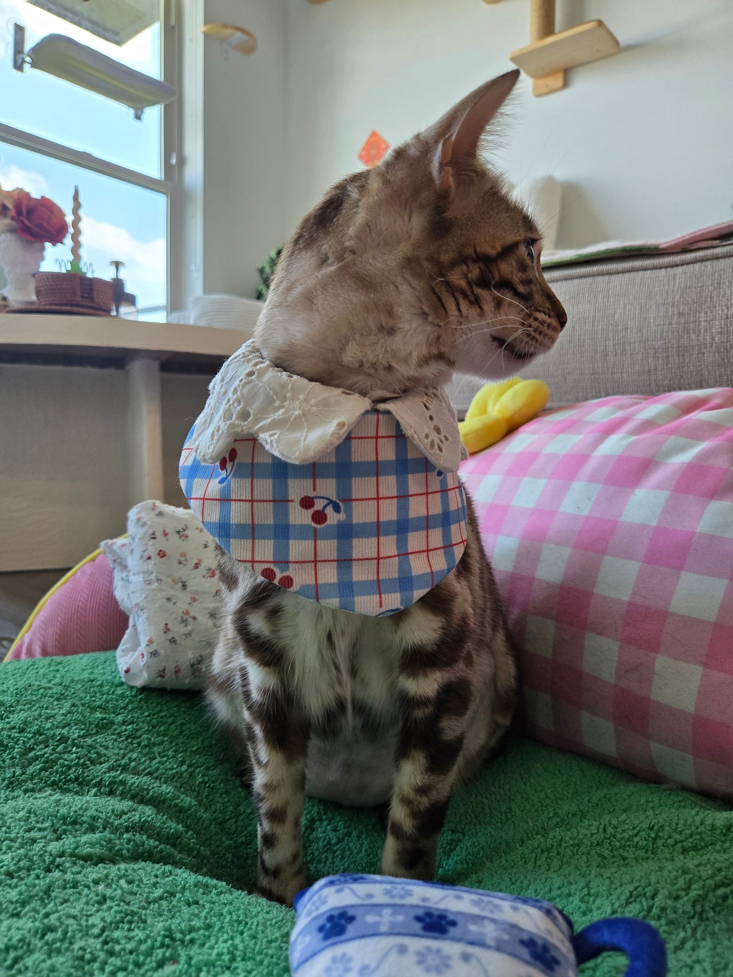 Petite bear Pet Bandana (reversible 4-way wear)