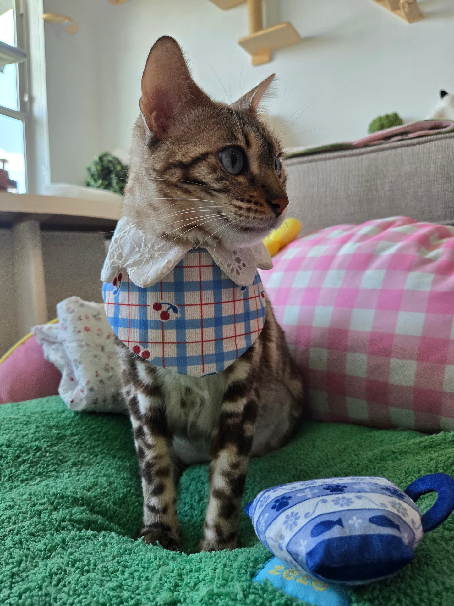 Petite bear Pet Bandana (reversible 4-way wear)
