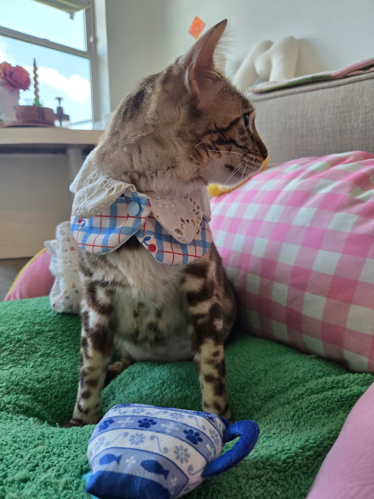 Petite bear Pet Bandana (reversible 4-way wear)