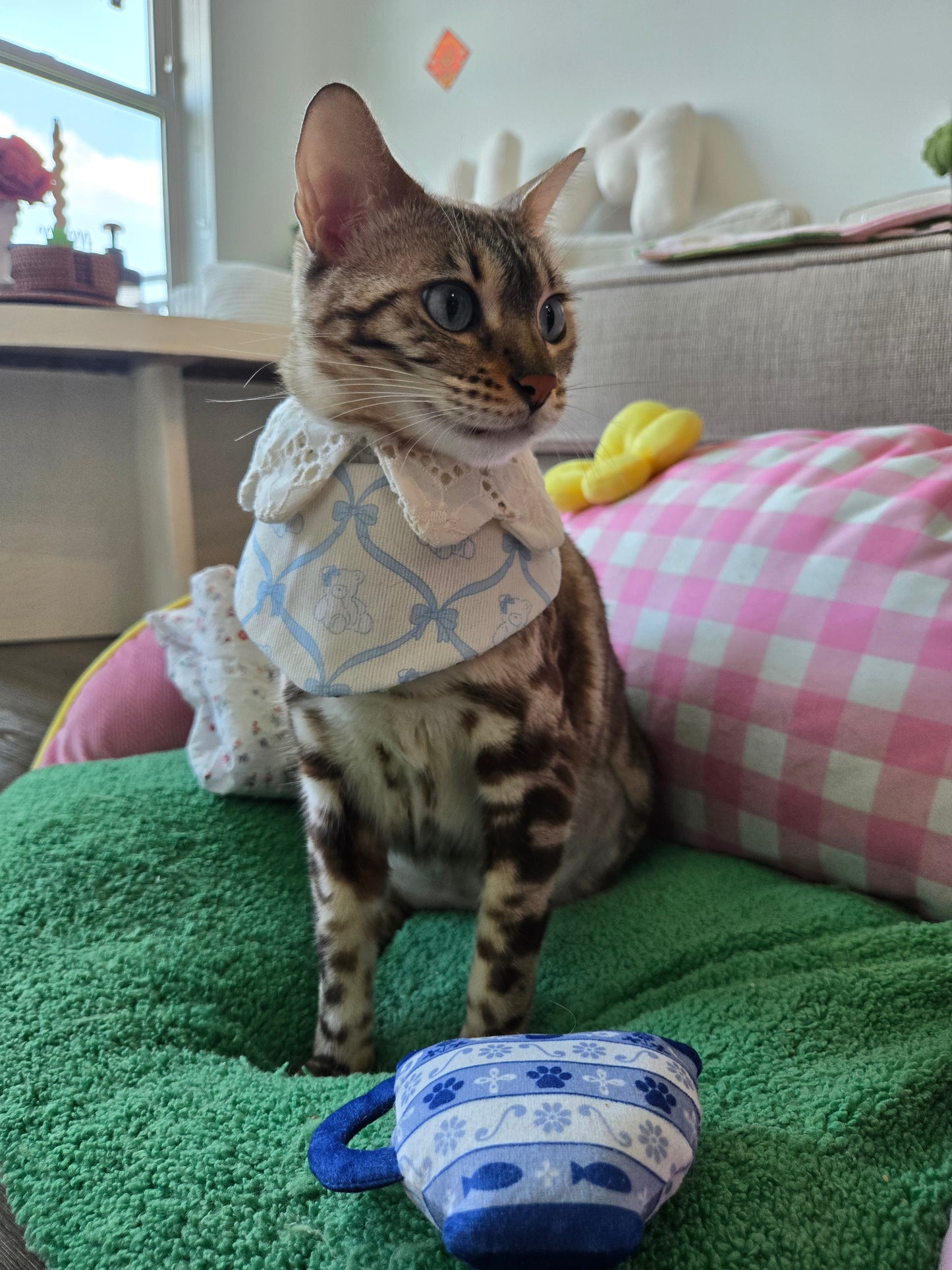 Petite bear Pet Bandana (reversible 4-way wear)