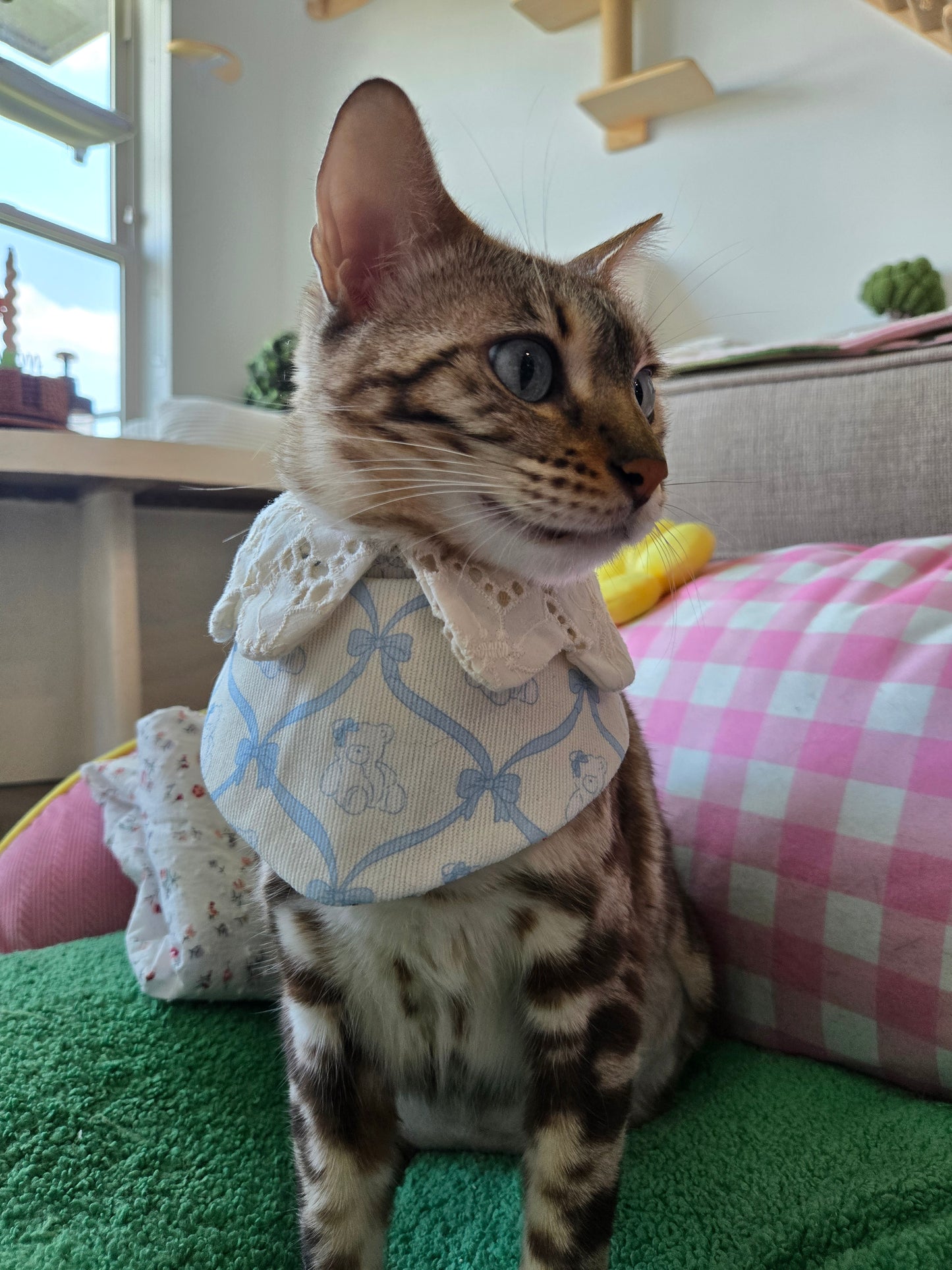 Petite bear Pet Bandana (reversible 4-way wear)
