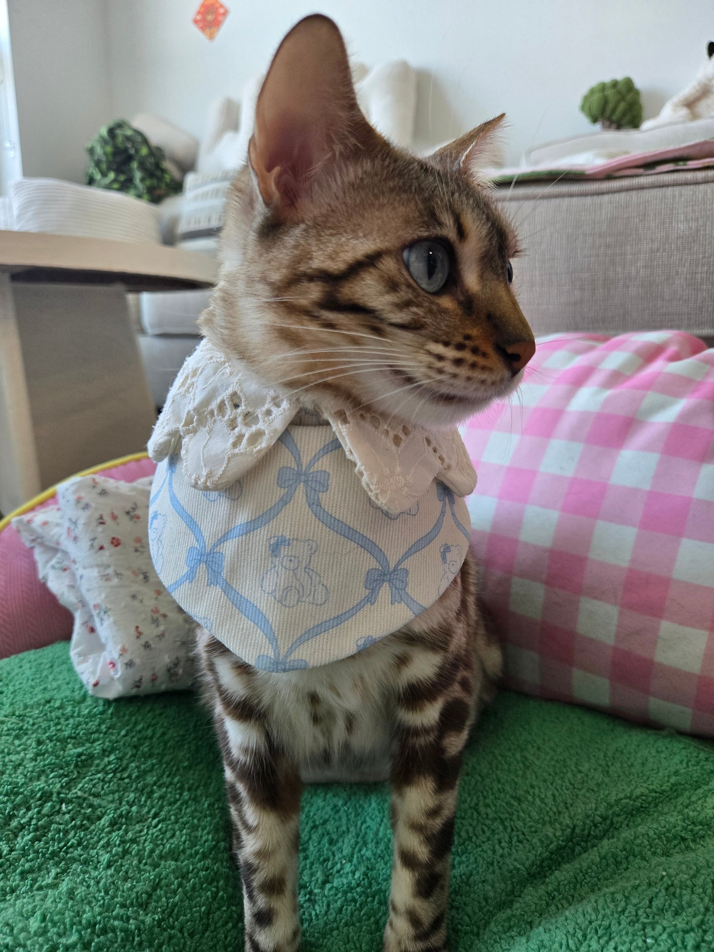 Petite bear Pet Bandana (reversible 4-way wear)