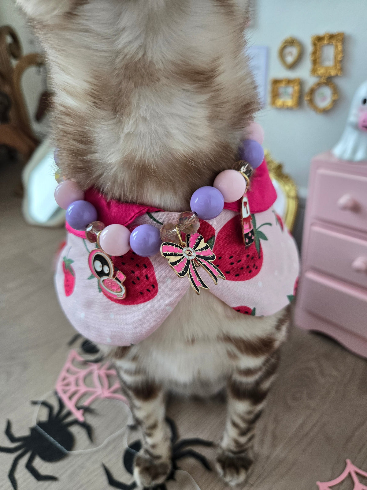 The Cursed Vanity Pet Necklace