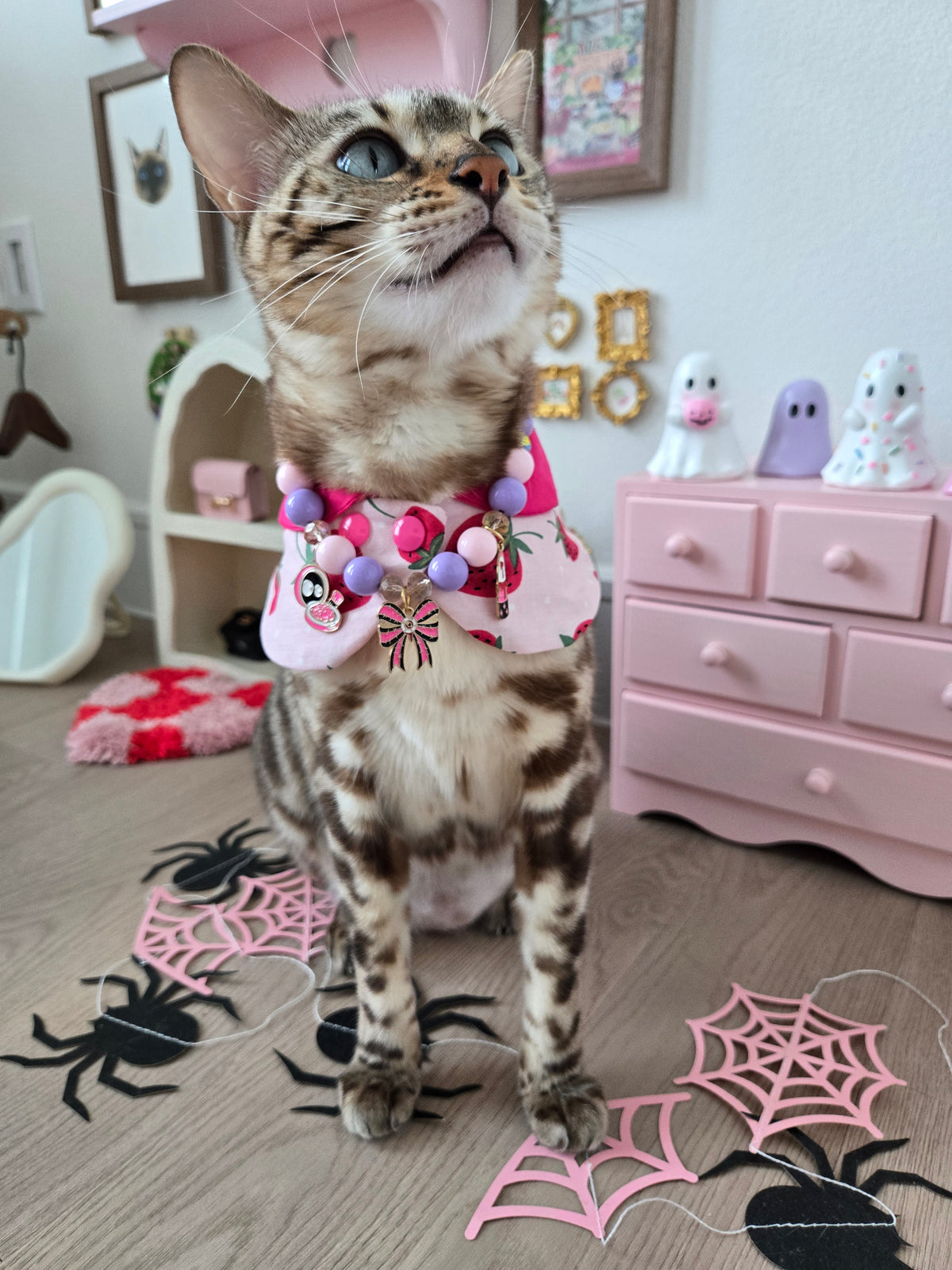 The Cursed Vanity Pet Necklace