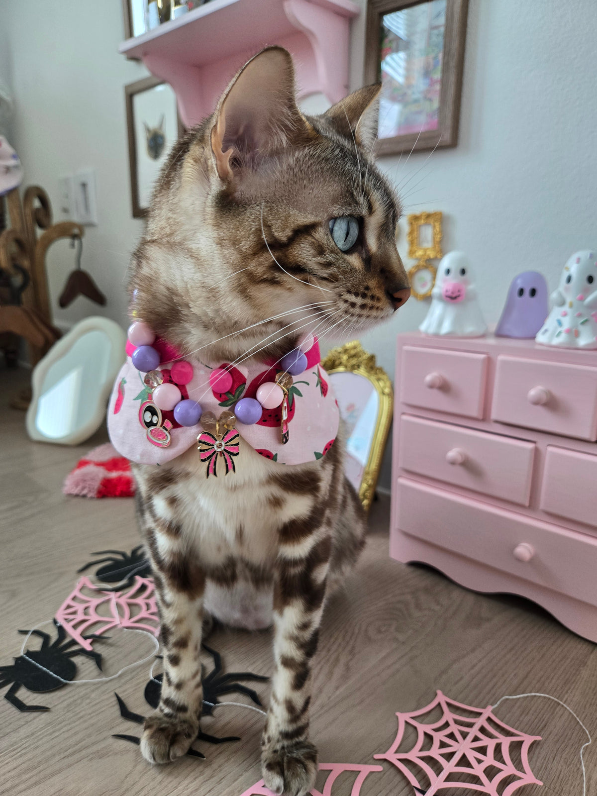 The Cursed Vanity Pet Necklace