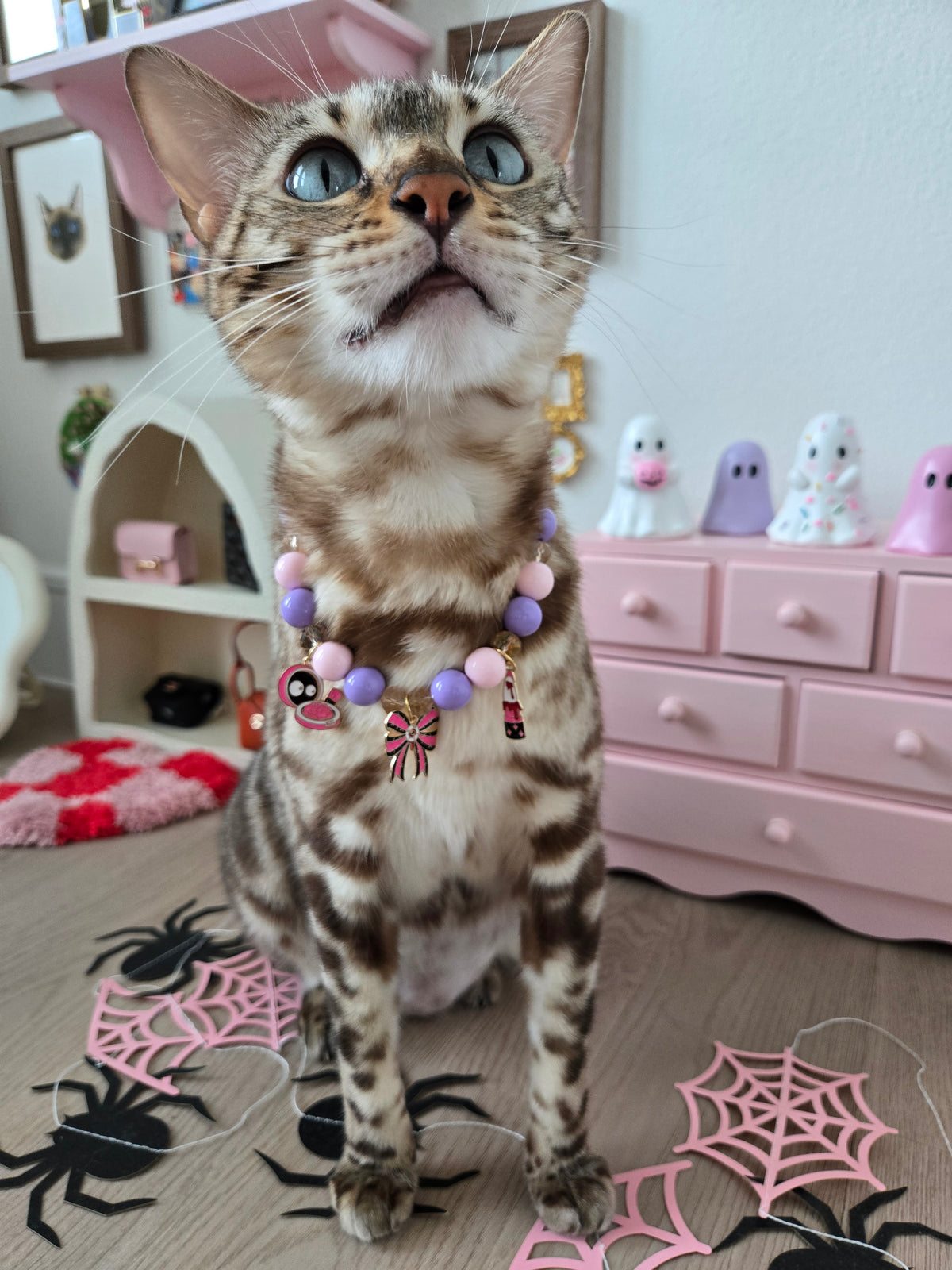 The Cursed Vanity Pet Necklace