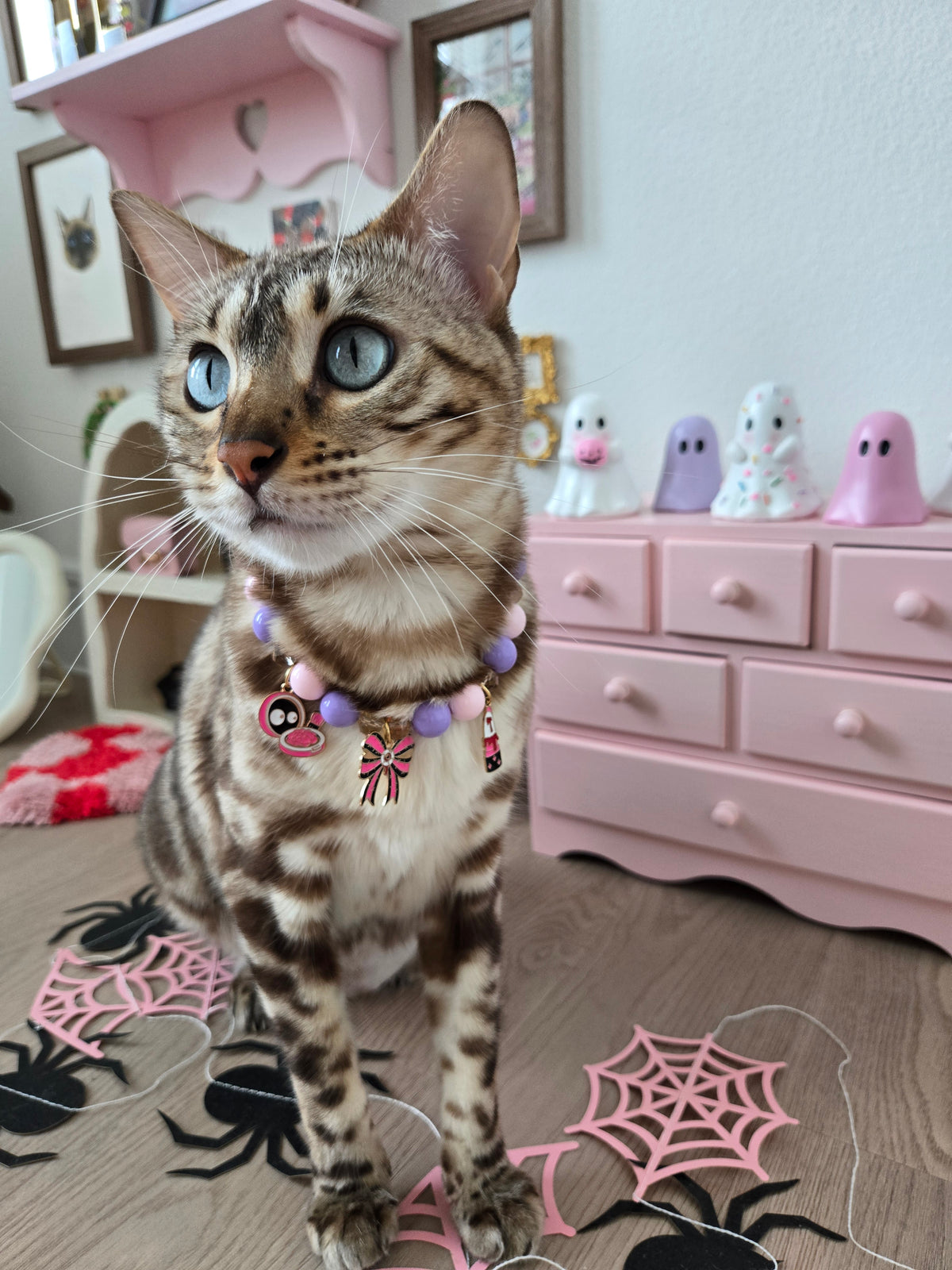 The Cursed Vanity Pet Necklace