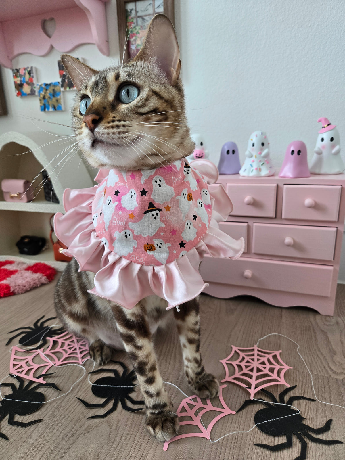 Creme Boo-lée Pet Bandana (reversible 4-way wear)