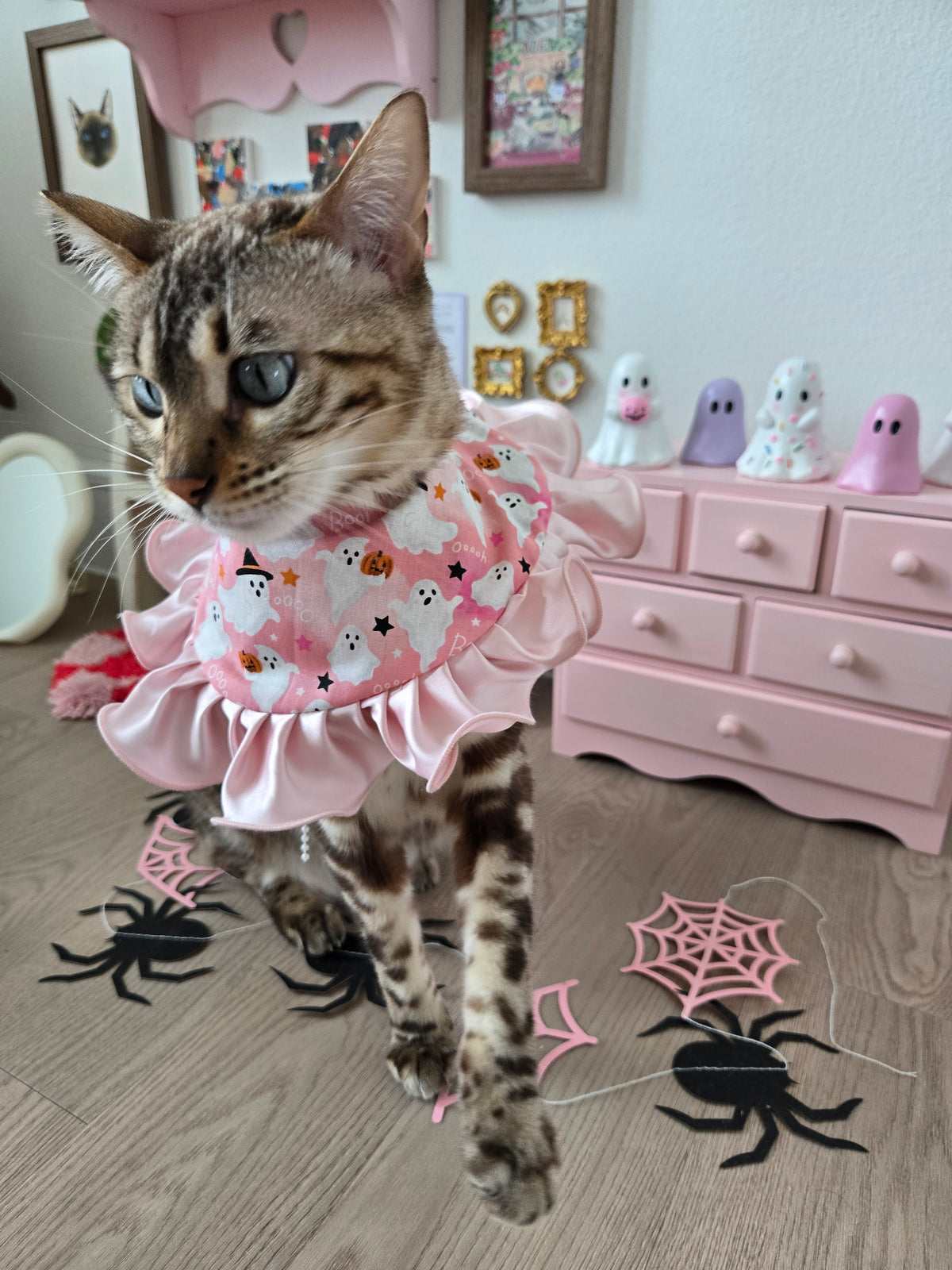 Creme Boo-lée Pet Bandana (reversible 4-way wear)